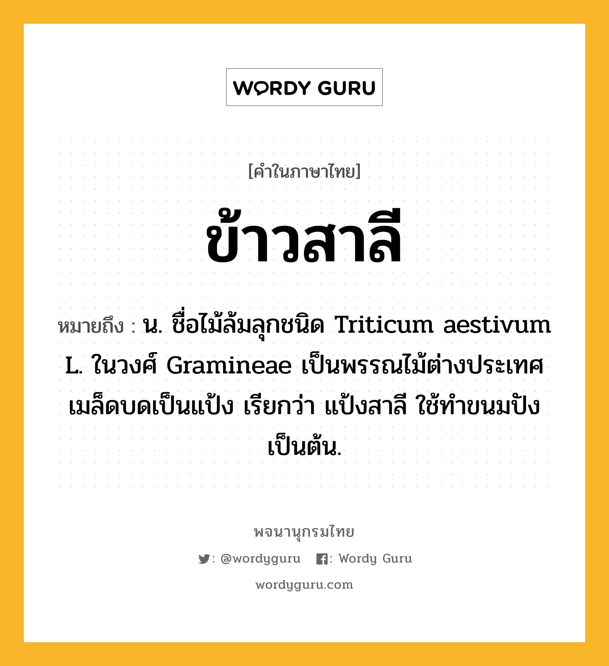 ข้าวสาลี ความหมาย หมายถึงอะไร?, คำในภาษาไทย ข้าวสาลี หมายถึง น. ชื่อไม้ล้มลุกชนิด Triticum aestivum L. ในวงศ์ Gramineae เป็นพรรณไม้ต่างประเทศ เมล็ดบดเป็นแป้ง เรียกว่า แป้งสาลี ใช้ทําขนมปังเป็นต้น.