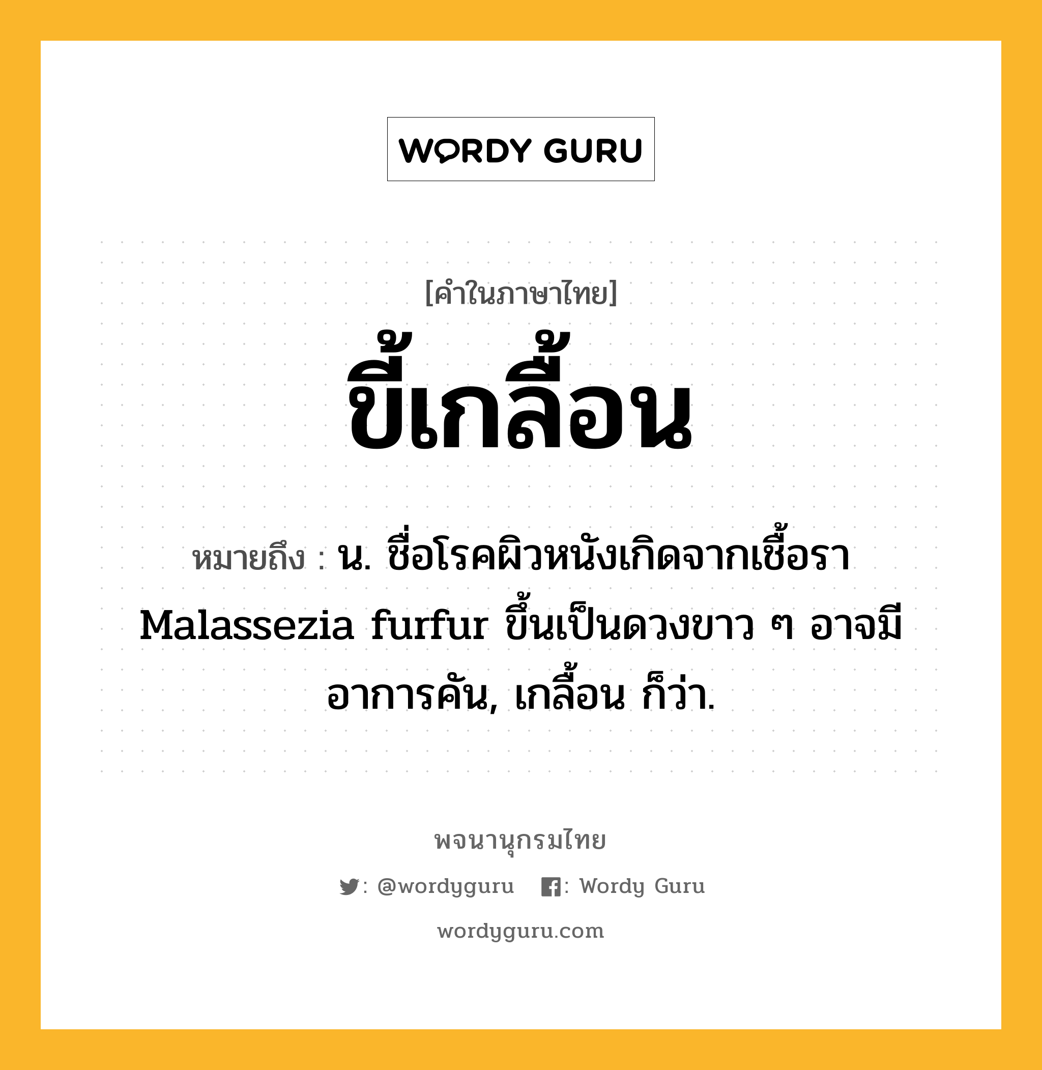 ขี้เกลื้อน ความหมาย หมายถึงอะไร?, คำในภาษาไทย ขี้เกลื้อน หมายถึง น. ชื่อโรคผิวหนังเกิดจากเชื้อรา Malassezia furfur ขึ้นเป็นดวงขาว ๆ อาจมีอาการคัน, เกลื้อน ก็ว่า.