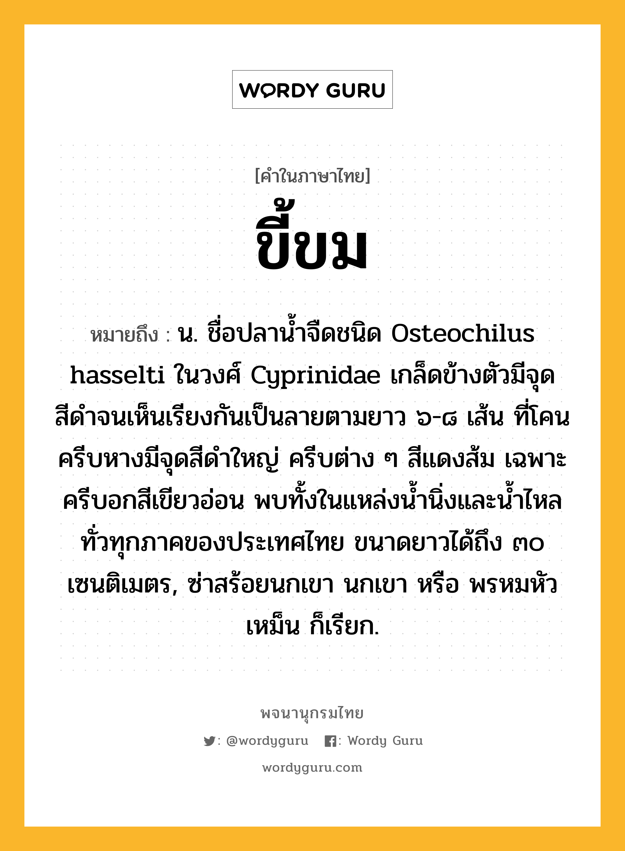 ขี้ขม ความหมาย หมายถึงอะไร?, คำในภาษาไทย ขี้ขม หมายถึง น. ชื่อปลานํ้าจืดชนิด Osteochilus hasselti ในวงศ์ Cyprinidae เกล็ดข้างตัวมีจุดสีดําจนเห็นเรียงกันเป็นลายตามยาว ๖-๘ เส้น ที่โคนครีบหางมีจุดสีดําใหญ่ ครีบต่าง ๆ สีแดงส้ม เฉพาะครีบอกสีเขียวอ่อน พบทั้งในแหล่งนํ้านิ่งและนํ้าไหลทั่วทุกภาคของประเทศไทย ขนาดยาวได้ถึง ๓๐ เซนติเมตร, ซ่าสร้อยนกเขา นกเขา หรือ พรหมหัวเหม็น ก็เรียก.