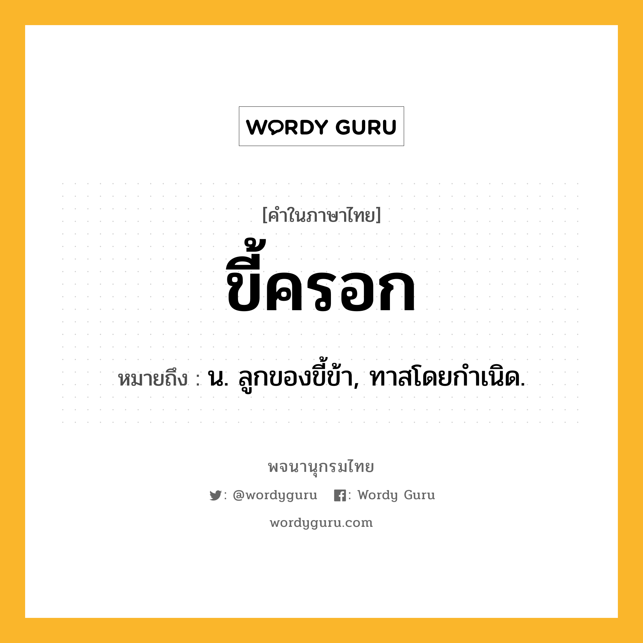 ขี้ครอก ความหมาย หมายถึงอะไร?, คำในภาษาไทย ขี้ครอก หมายถึง น. ลูกของขี้ข้า, ทาสโดยกําเนิด.