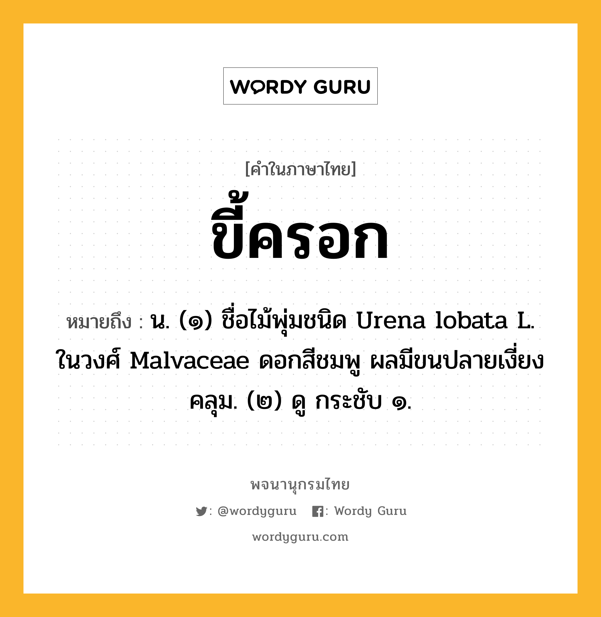 ขี้ครอก ความหมาย หมายถึงอะไร?, คำในภาษาไทย ขี้ครอก หมายถึง น. (๑) ชื่อไม้พุ่มชนิด Urena lobata L. ในวงศ์ Malvaceae ดอกสีชมพู ผลมีขนปลายเงี่ยงคลุม. (๒) ดู กระชับ ๑.