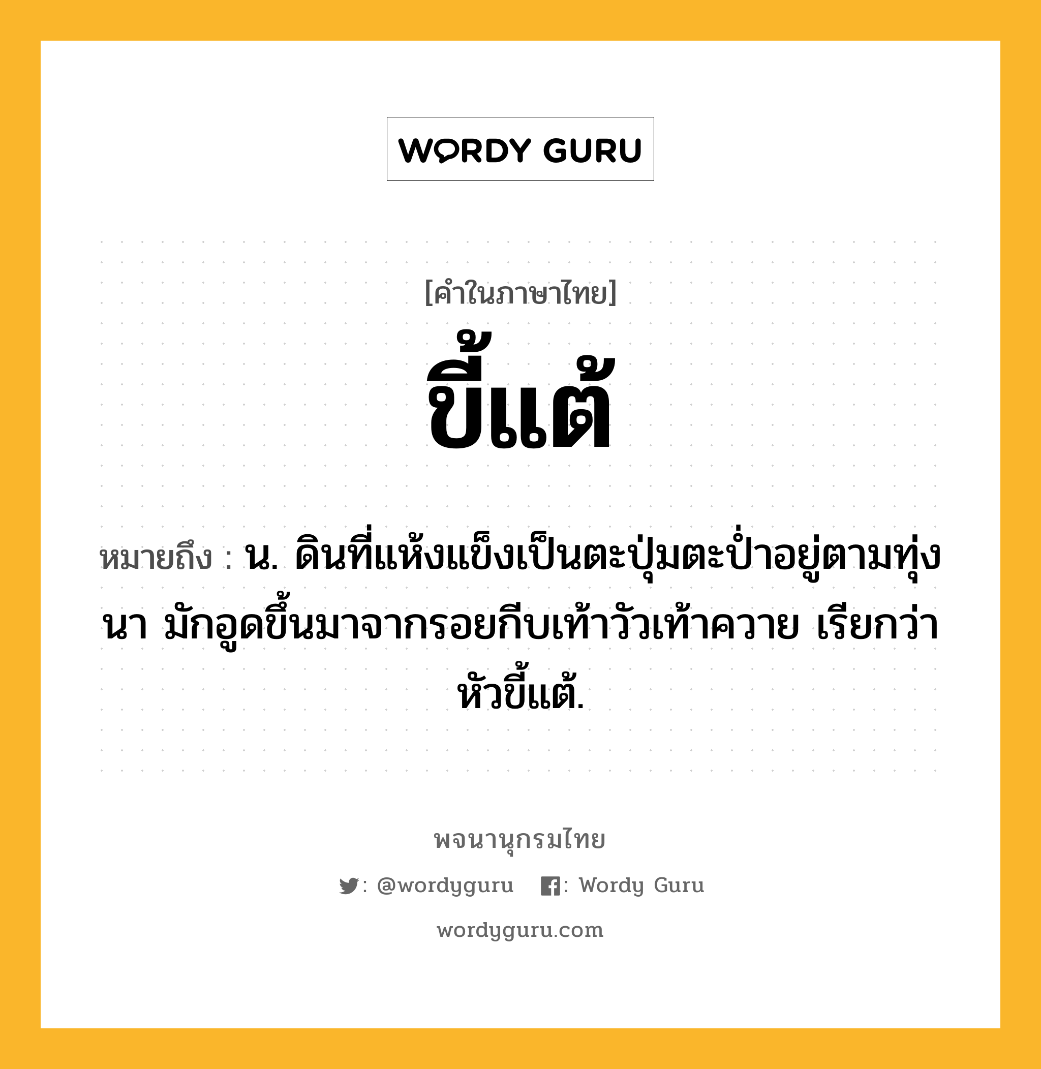 ขี้แต้ ความหมาย หมายถึงอะไร?, คำในภาษาไทย ขี้แต้ หมายถึง น. ดินที่แห้งแข็งเป็นตะปุ่มตะป่ำอยู่ตามทุ่งนา มักอูดขึ้นมาจากรอยกีบเท้าวัวเท้าควาย เรียกว่า หัวขี้แต้.