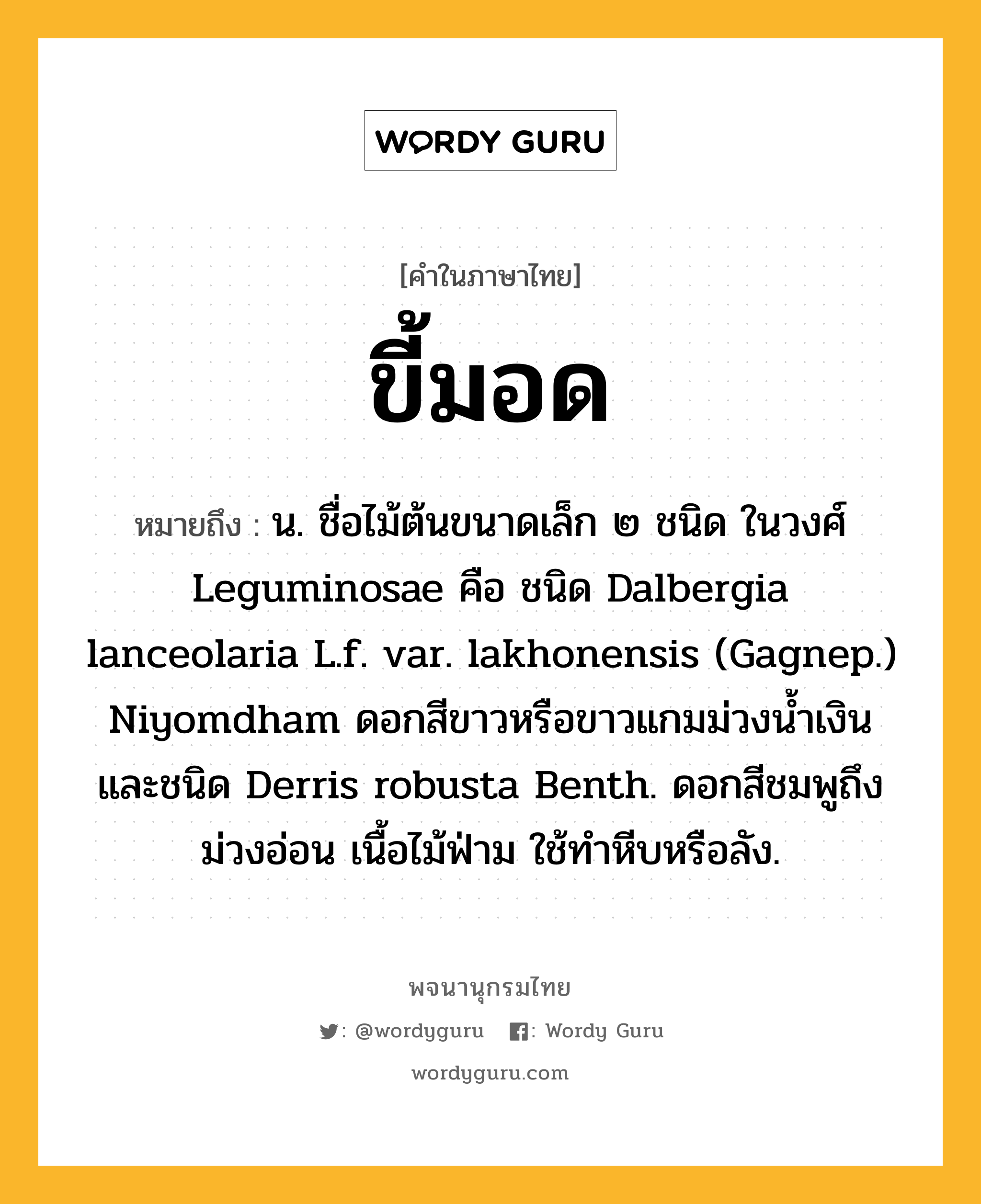 ขี้มอด ความหมาย หมายถึงอะไร?, คำในภาษาไทย ขี้มอด หมายถึง น. ชื่อไม้ต้นขนาดเล็ก ๒ ชนิด ในวงศ์ Leguminosae คือ ชนิด Dalbergia lanceolaria L.f. var. lakhonensis (Gagnep.) Niyomdham ดอกสีขาวหรือขาวแกมม่วงน้ำเงิน และชนิด Derris robusta Benth. ดอกสีชมพูถึงม่วงอ่อน เนื้อไม้ฟ่าม ใช้ทําหีบหรือลัง.