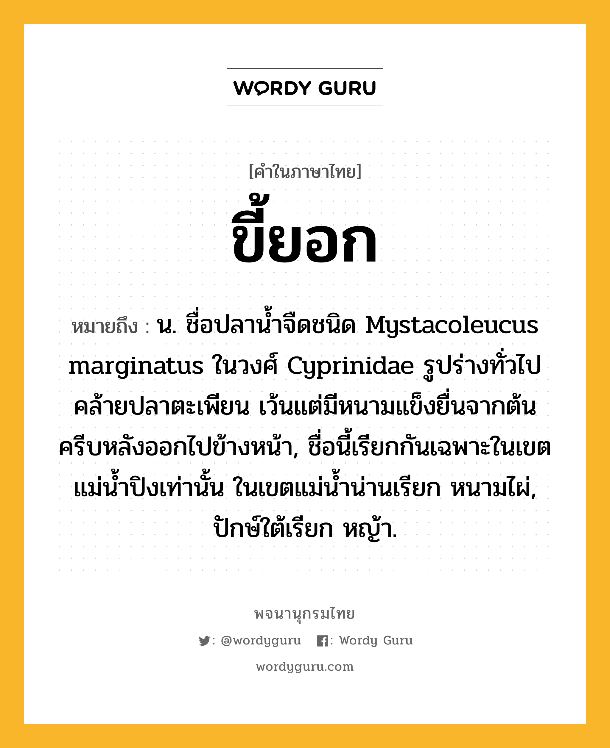 ขี้ยอก ความหมาย หมายถึงอะไร?, คำในภาษาไทย ขี้ยอก หมายถึง น. ชื่อปลานํ้าจืดชนิด Mystacoleucus marginatus ในวงศ์ Cyprinidae รูปร่างทั่วไปคล้ายปลาตะเพียน เว้นแต่มีหนามแข็งยื่นจากต้นครีบหลังออกไปข้างหน้า, ชื่อนี้เรียกกันเฉพาะในเขตแม่นํ้าปิงเท่านั้น ในเขตแม่นํ้าน่านเรียก หนามไผ่, ปักษ์ใต้เรียก หญ้า.