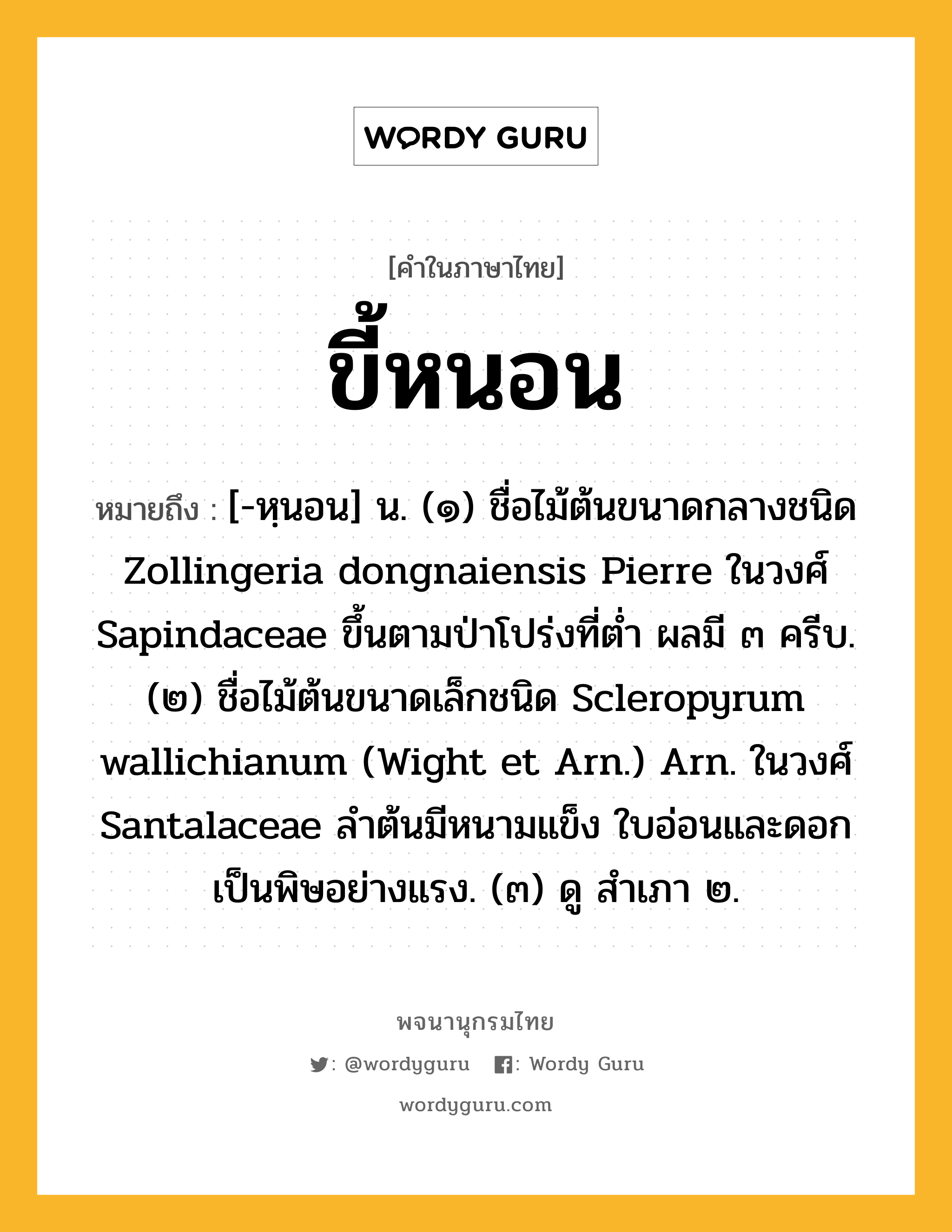 ขี้หนอน ความหมาย หมายถึงอะไร?, คำในภาษาไทย ขี้หนอน หมายถึง [-หฺนอน] น. (๑) ชื่อไม้ต้นขนาดกลางชนิด Zollingeria dongnaiensis Pierre ในวงศ์ Sapindaceae ขึ้นตามป่าโปร่งที่ตํ่า ผลมี ๓ ครีบ. (๒) ชื่อไม้ต้นขนาดเล็กชนิด Scleropyrum wallichianum (Wight et Arn.) Arn. ในวงศ์ Santalaceae ลําต้นมีหนามแข็ง ใบอ่อนและดอกเป็นพิษอย่างแรง. (๓) ดู สําเภา ๒.