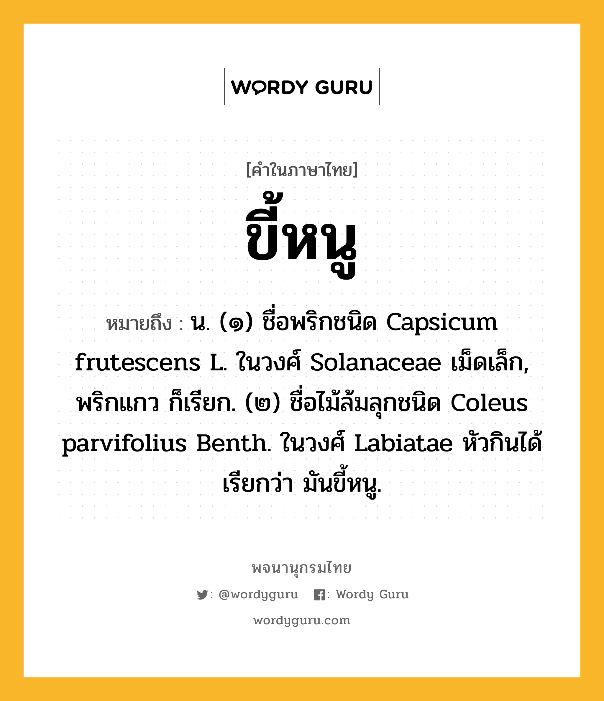 ขี้หนู ความหมาย หมายถึงอะไร?, คำในภาษาไทย ขี้หนู หมายถึง น. (๑) ชื่อพริกชนิด Capsicum frutescens L. ในวงศ์ Solanaceae เม็ดเล็ก, พริกแกว ก็เรียก. (๒) ชื่อไม้ล้มลุกชนิด Coleus parvifolius Benth. ในวงศ์ Labiatae หัวกินได้ เรียกว่า มันขี้หนู.