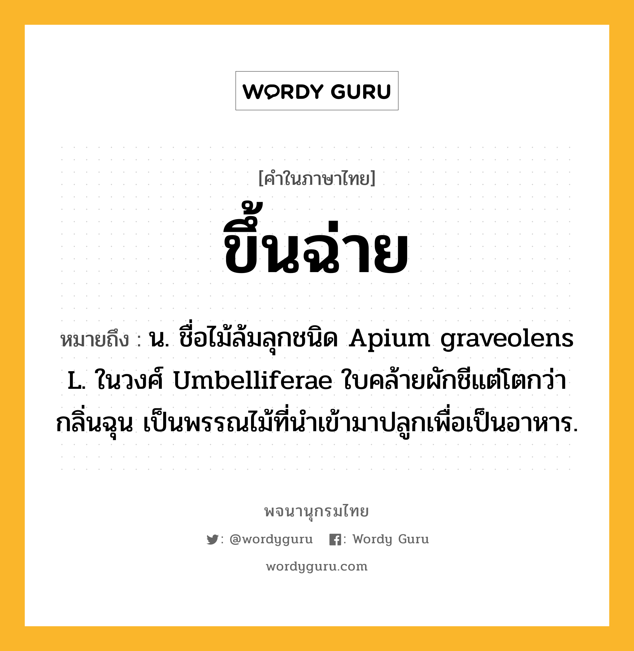 ขึ้นฉ่าย ความหมาย หมายถึงอะไร?, คำในภาษาไทย ขึ้นฉ่าย หมายถึง น. ชื่อไม้ล้มลุกชนิด Apium graveolens L. ในวงศ์ Umbelliferae ใบคล้ายผักชีแต่โตกว่า กลิ่นฉุน เป็นพรรณไม้ที่นําเข้ามาปลูกเพื่อเป็นอาหาร.