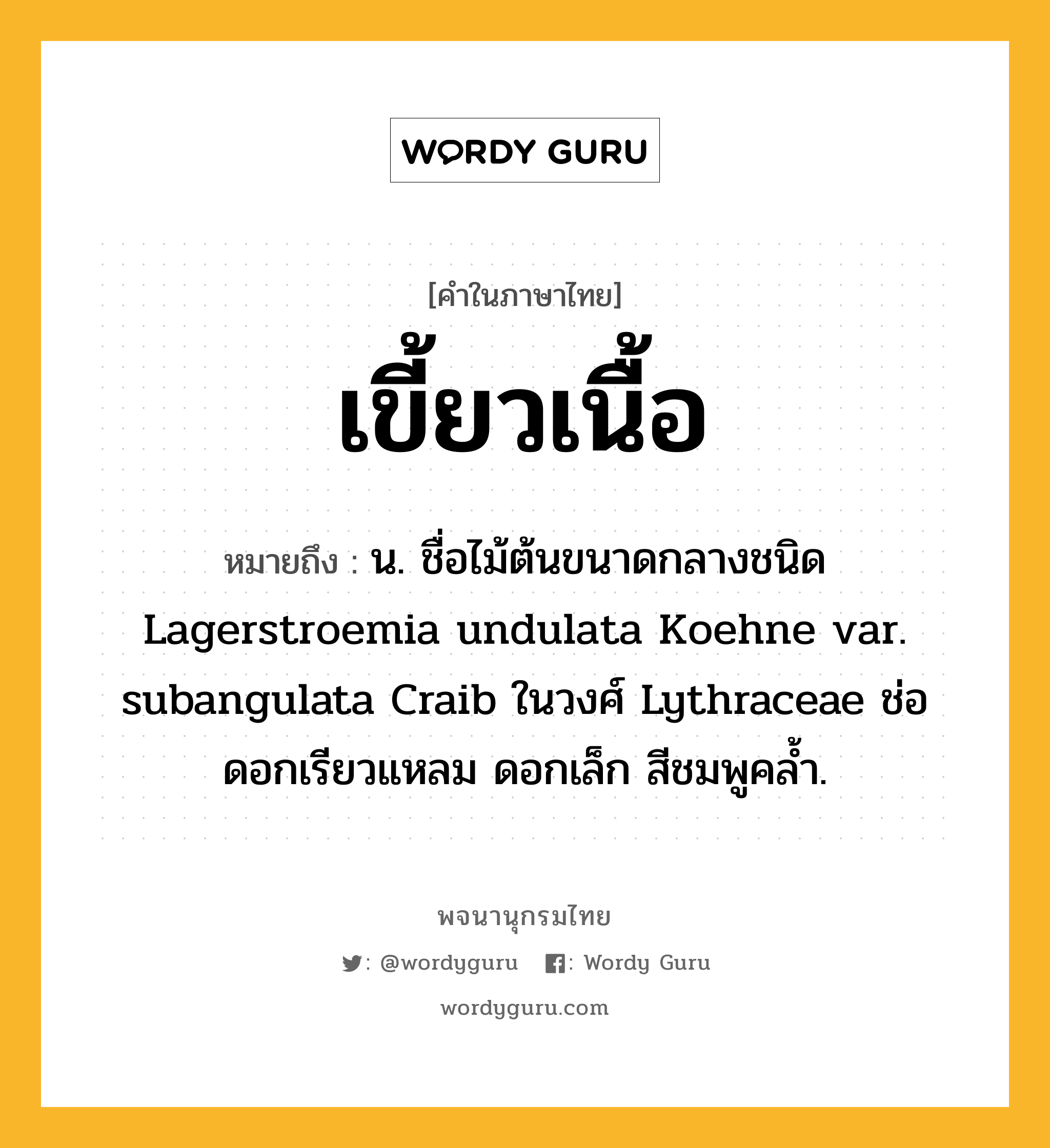 เขี้ยวเนื้อ ความหมาย หมายถึงอะไร?, คำในภาษาไทย เขี้ยวเนื้อ หมายถึง น. ชื่อไม้ต้นขนาดกลางชนิด Lagerstroemia undulata Koehne var. subangulata Craib ในวงศ์ Lythraceae ช่อดอกเรียวแหลม ดอกเล็ก สีชมพูคล้ำ.