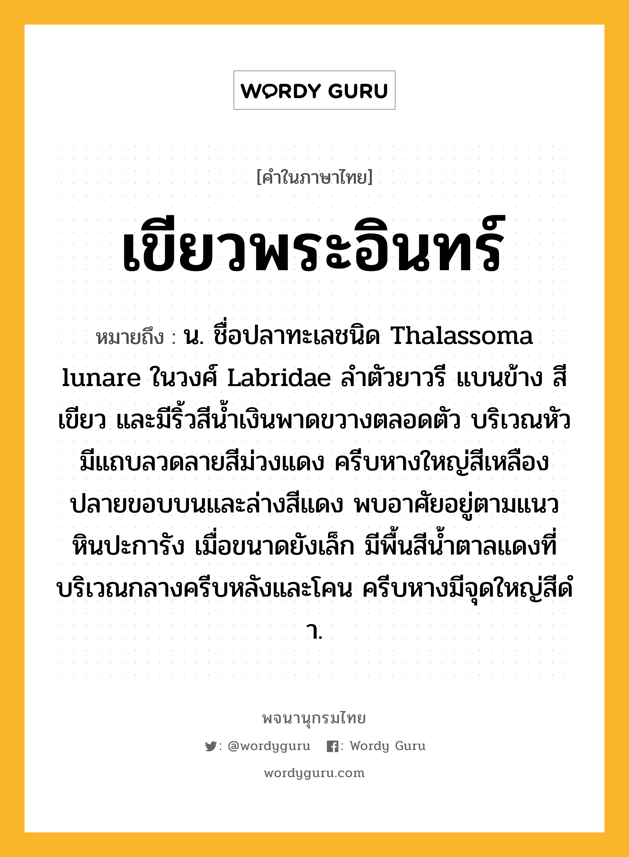 เขียวพระอินทร์ ความหมาย หมายถึงอะไร?, คำในภาษาไทย เขียวพระอินทร์ หมายถึง น. ชื่อปลาทะเลชนิด Thalassoma lunare ในวงศ์ Labridae ลําตัวยาวรี แบนข้าง สีเขียว และมีริ้วสีนํ้าเงินพาดขวางตลอดตัว บริเวณหัวมีแถบลวดลายสีม่วงแดง ครีบหางใหญ่สีเหลือง ปลายขอบบนและล่างสีแดง พบอาศัยอยู่ตามแนวหินปะการัง เมื่อขนาดยังเล็ก มีพื้นสีนํ้าตาลแดงที่บริเวณกลางครีบหลังและโคน ครีบหางมีจุดใหญ่สีดํา.