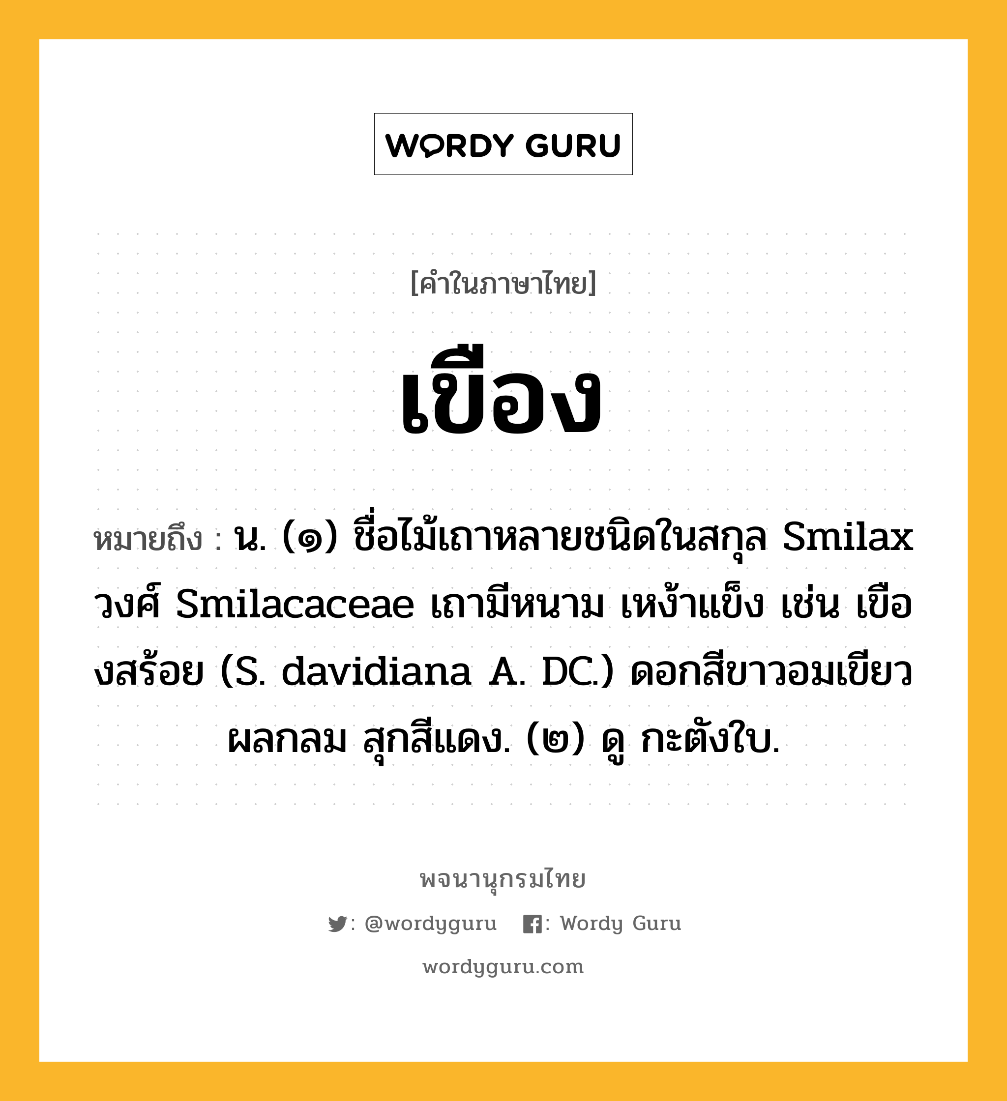 เขือง ความหมาย หมายถึงอะไร?, คำในภาษาไทย เขือง หมายถึง น. (๑) ชื่อไม้เถาหลายชนิดในสกุล Smilax วงศ์ Smilacaceae เถามีหนาม เหง้าแข็ง เช่น เขืองสร้อย (S. davidiana A. DC.) ดอกสีขาวอมเขียว ผลกลม สุกสีแดง. (๒) ดู กะตังใบ.