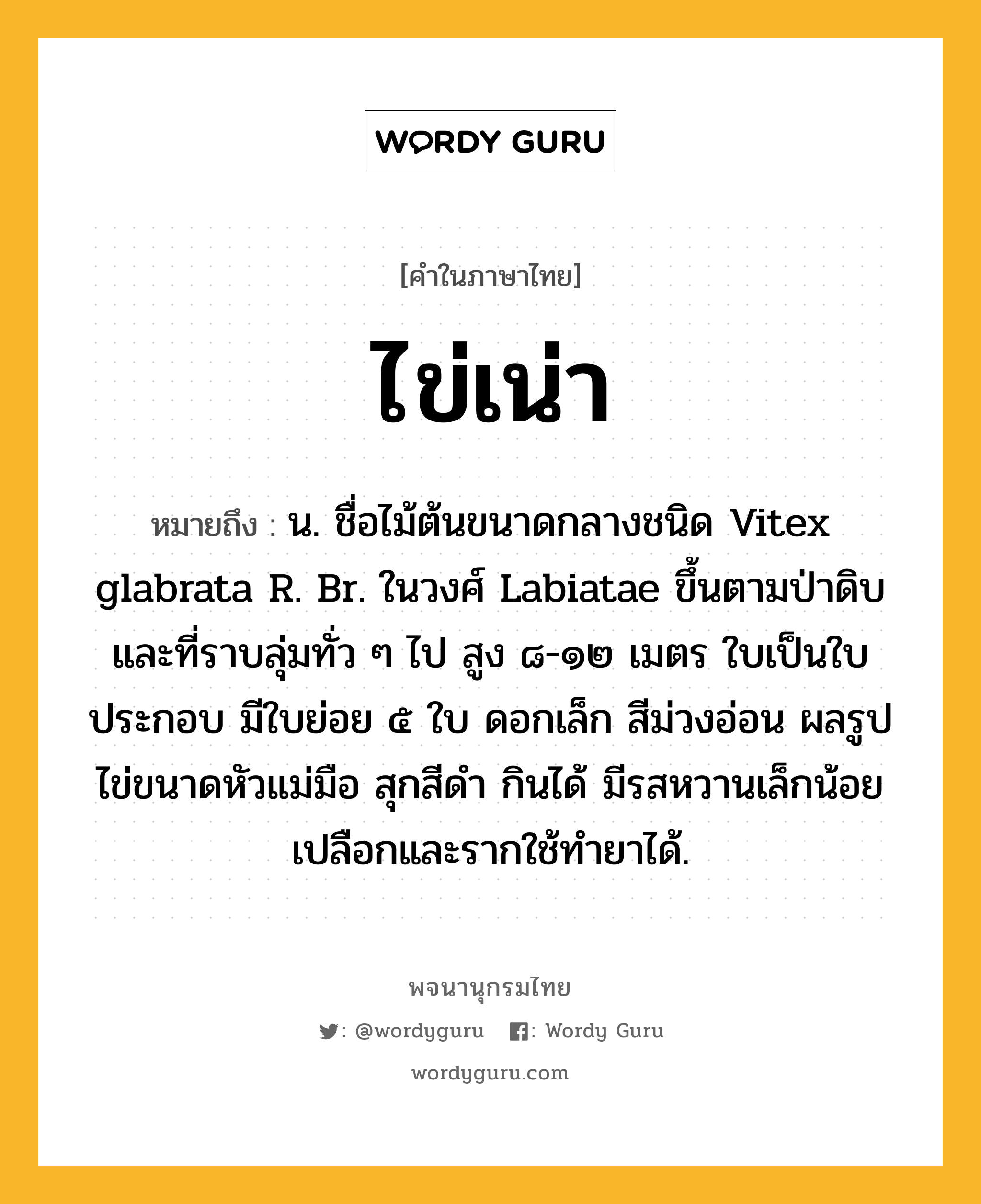 ไข่เน่า ความหมาย หมายถึงอะไร?, คำในภาษาไทย ไข่เน่า หมายถึง น. ชื่อไม้ต้นขนาดกลางชนิด Vitex glabrata R. Br. ในวงศ์ Labiatae ขึ้นตามป่าดิบและที่ราบลุ่มทั่ว ๆ ไป สูง ๘-๑๒ เมตร ใบเป็นใบประกอบ มีใบย่อย ๕ ใบ ดอกเล็ก สีม่วงอ่อน ผลรูปไข่ขนาดหัวแม่มือ สุกสีดํา กินได้ มีรสหวานเล็กน้อย เปลือกและรากใช้ทํายาได้.