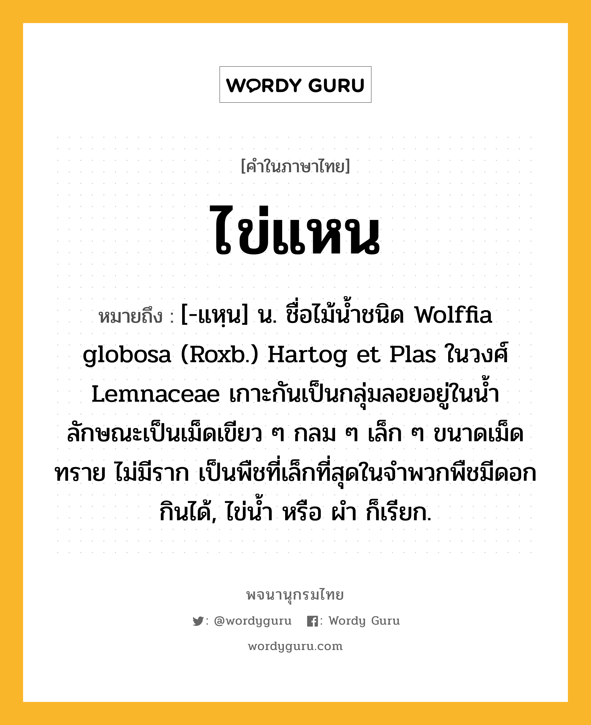 ไข่แหน ความหมาย หมายถึงอะไร?, คำในภาษาไทย ไข่แหน หมายถึง [-แหฺน] น. ชื่อไม้นํ้าชนิด Wolffia globosa (Roxb.) Hartog et Plas ในวงศ์ Lemnaceae เกาะกันเป็นกลุ่มลอยอยู่ในนํ้า ลักษณะเป็นเม็ดเขียว ๆ กลม ๆ เล็ก ๆ ขนาดเม็ดทราย ไม่มีราก เป็นพืชที่เล็กที่สุดในจําพวกพืชมีดอก กินได้, ไข่นํ้า หรือ ผํา ก็เรียก.