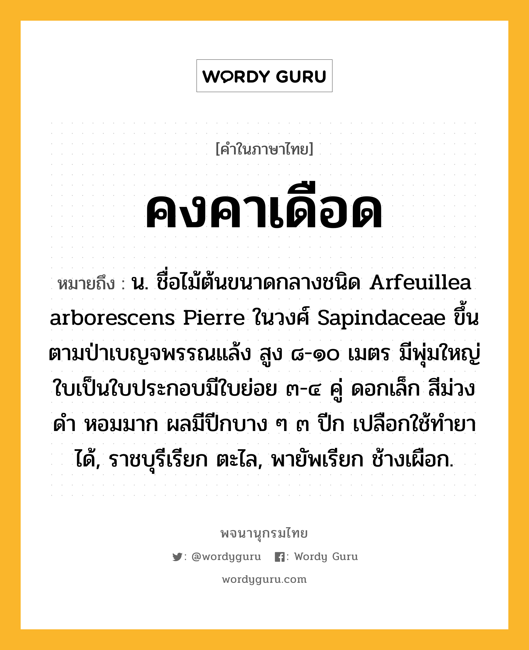 คงคาเดือด ความหมาย หมายถึงอะไร?, คำในภาษาไทย คงคาเดือด หมายถึง น. ชื่อไม้ต้นขนาดกลางชนิด Arfeuillea arborescens Pierre ในวงศ์ Sapindaceae ขึ้นตามป่าเบญจพรรณแล้ง สูง ๘-๑๐ เมตร มีพุ่มใหญ่ ใบเป็นใบประกอบมีใบย่อย ๓-๔ คู่ ดอกเล็ก สีม่วงดํา หอมมาก ผลมีปีกบาง ๆ ๓ ปีก เปลือกใช้ทํายาได้, ราชบุรีเรียก ตะไล, พายัพเรียก ช้างเผือก.