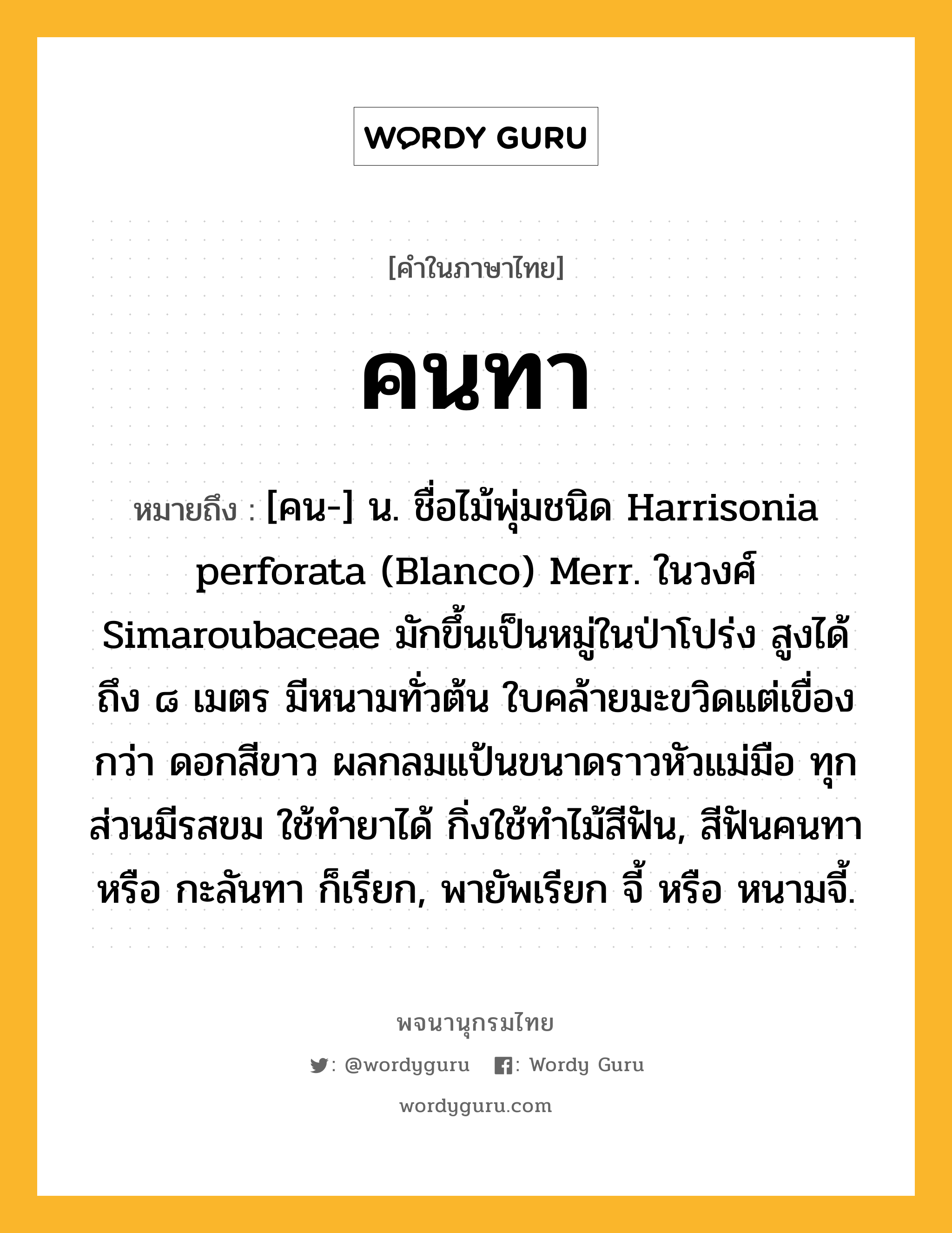 คนทา ความหมาย หมายถึงอะไร?, คำในภาษาไทย คนทา หมายถึง [คน-] น. ชื่อไม้พุ่มชนิด Harrisonia perforata (Blanco) Merr. ในวงศ์ Simaroubaceae มักขึ้นเป็นหมู่ในป่าโปร่ง สูงได้ถึง ๘ เมตร มีหนามทั่วต้น ใบคล้ายมะขวิดแต่เขื่องกว่า ดอกสีขาว ผลกลมแป้นขนาดราวหัวแม่มือ ทุกส่วนมีรสขม ใช้ทํายาได้ กิ่งใช้ทําไม้สีฟัน, สีฟันคนทา หรือ กะลันทา ก็เรียก, พายัพเรียก จี้ หรือ หนามจี้.