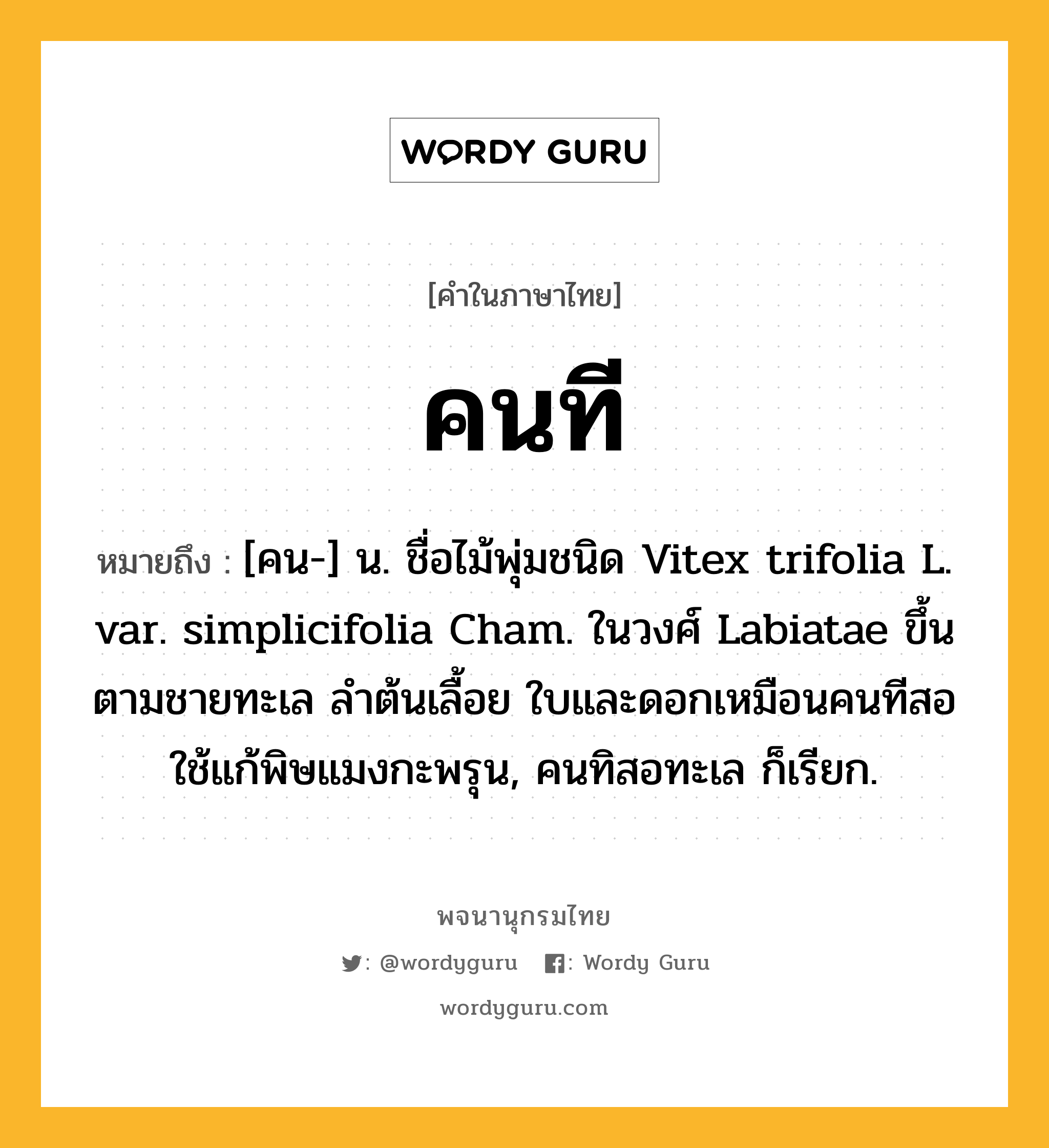 คนที ความหมาย หมายถึงอะไร?, คำในภาษาไทย คนที หมายถึง [คน-] น. ชื่อไม้พุ่มชนิด Vitex trifolia L. var. simplicifolia Cham. ในวงศ์ Labiatae ขึ้นตามชายทะเล ลําต้นเลื้อย ใบและดอกเหมือนคนทีสอ ใช้แก้พิษแมงกะพรุน, คนทิสอทะเล ก็เรียก.