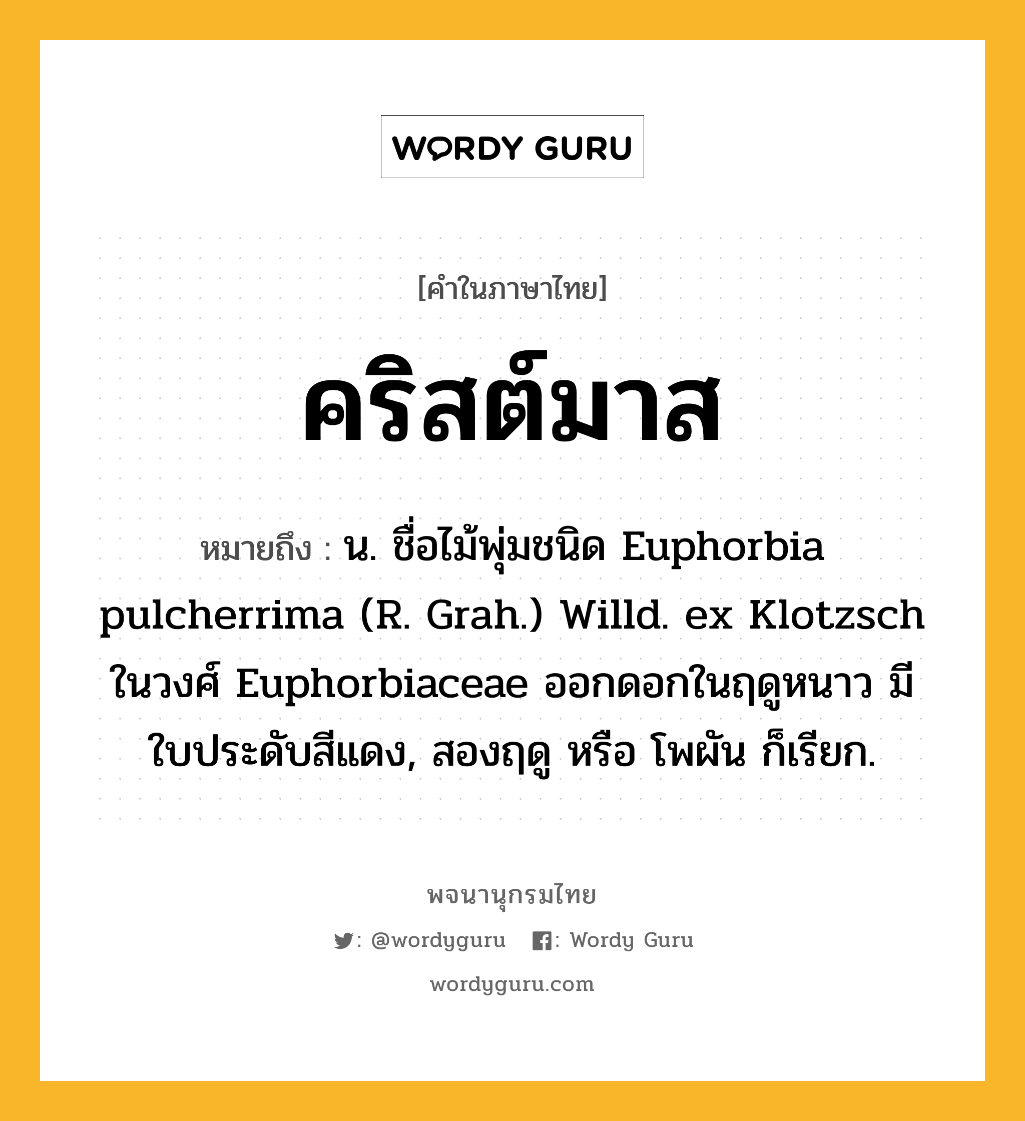 คริสต์มาส ความหมาย หมายถึงอะไร?, คำในภาษาไทย คริสต์มาส หมายถึง น. ชื่อไม้พุ่มชนิด Euphorbia pulcherrima (R. Grah.) Willd. ex Klotzsch ในวงศ์ Euphorbiaceae ออกดอกในฤดูหนาว มีใบประดับสีแดง, สองฤดู หรือ โพผัน ก็เรียก.