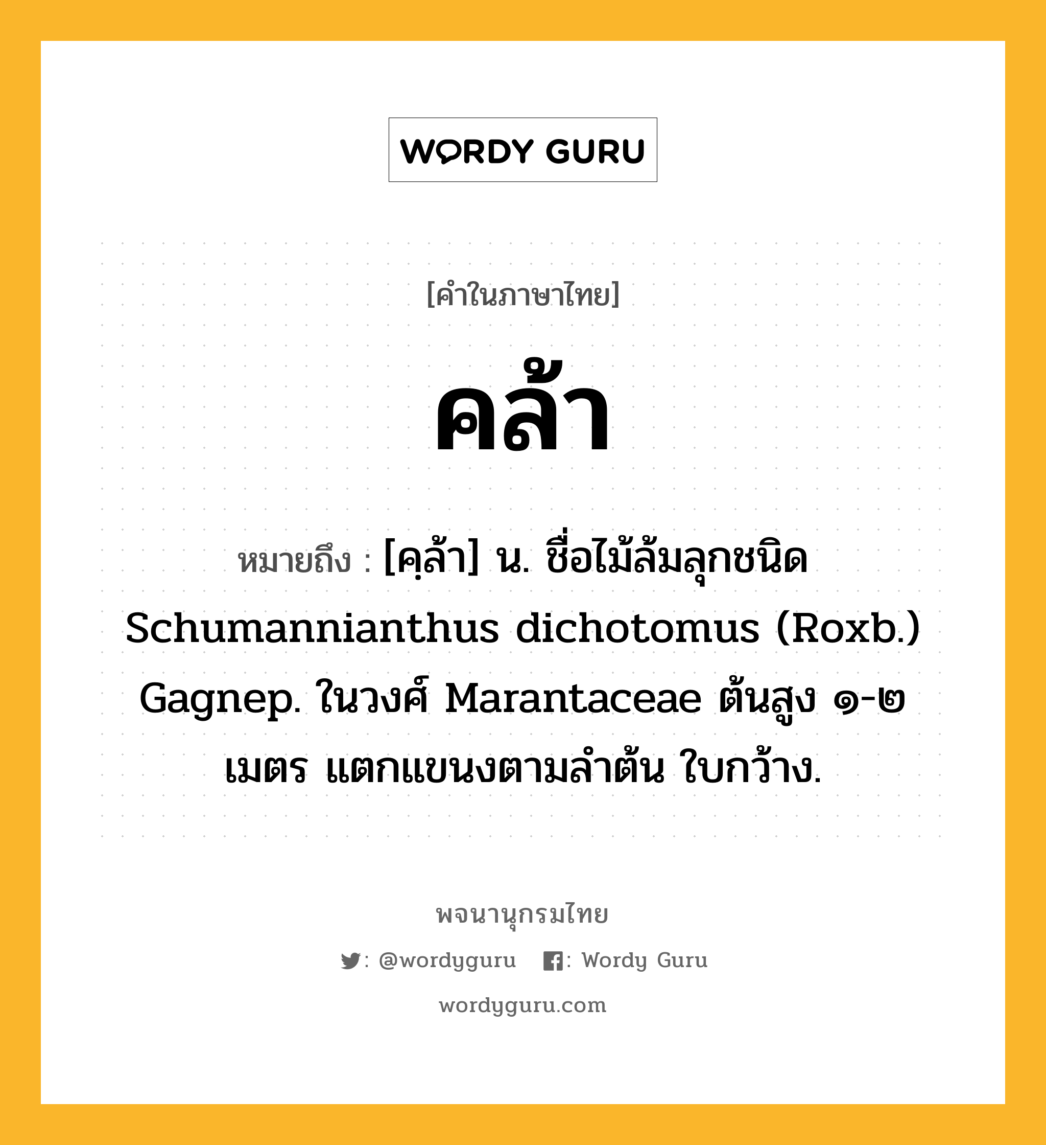 คล้า ความหมาย หมายถึงอะไร?, คำในภาษาไทย คล้า หมายถึง [คฺล้า] น. ชื่อไม้ล้มลุกชนิด Schumannianthus dichotomus (Roxb.) Gagnep. ในวงศ์ Marantaceae ต้นสูง ๑-๒ เมตร แตกแขนงตามลําต้น ใบกว้าง.