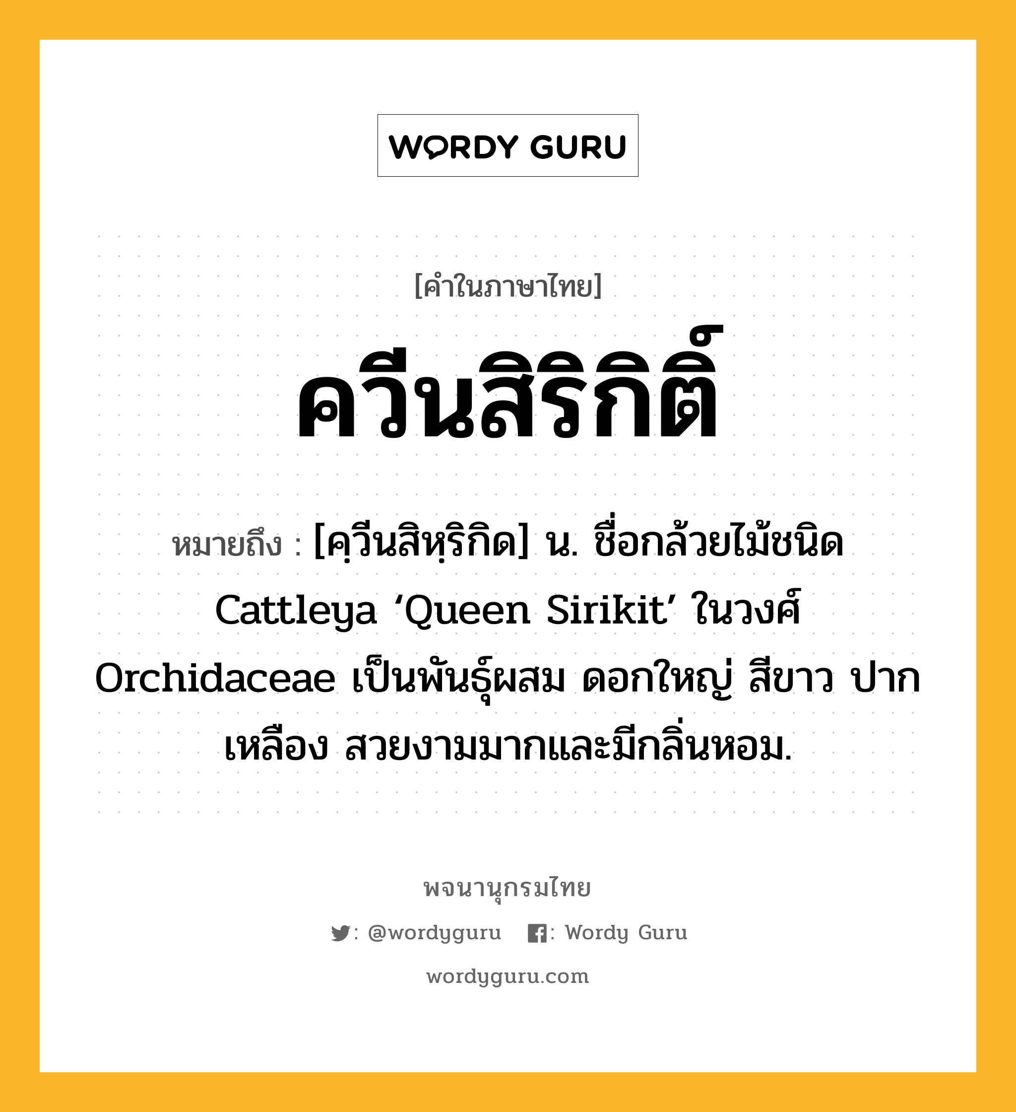 ควีนสิริกิติ์ ความหมาย หมายถึงอะไร?, คำในภาษาไทย ควีนสิริกิติ์ หมายถึง [คฺวีนสิหฺริกิด] น. ชื่อกล้วยไม้ชนิด Cattleya ‘Queen Sirikit’ ในวงศ์ Orchidaceae เป็นพันธุ์ผสม ดอกใหญ่ สีขาว ปากเหลือง สวยงามมากและมีกลิ่นหอม.