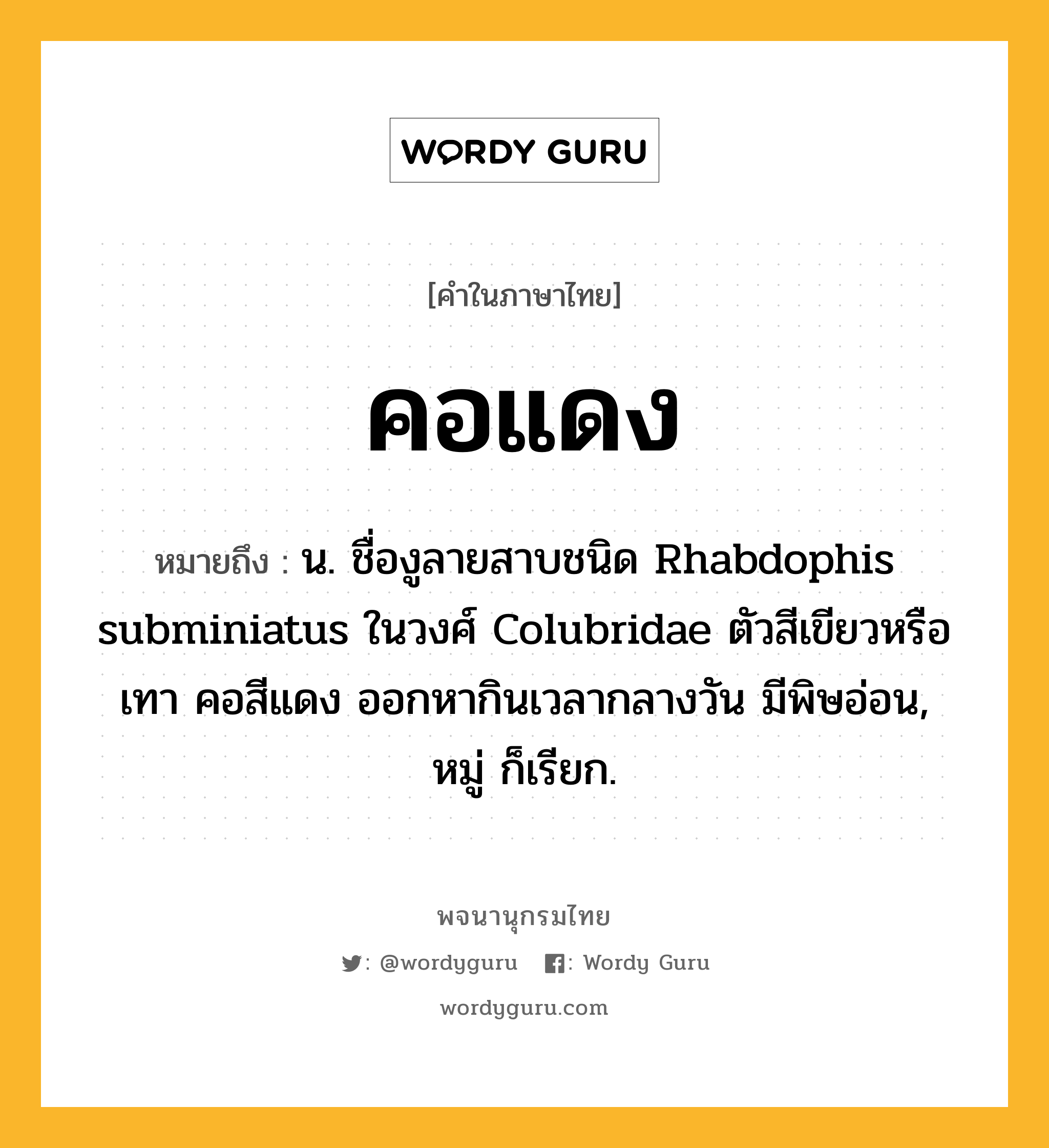 คอแดง ความหมาย หมายถึงอะไร?, คำในภาษาไทย คอแดง หมายถึง น. ชื่องูลายสาบชนิด Rhabdophis subminiatus ในวงศ์ Colubridae ตัวสีเขียวหรือเทา คอสีแดง ออกหากินเวลากลางวัน มีพิษอ่อน, หมู่ ก็เรียก.