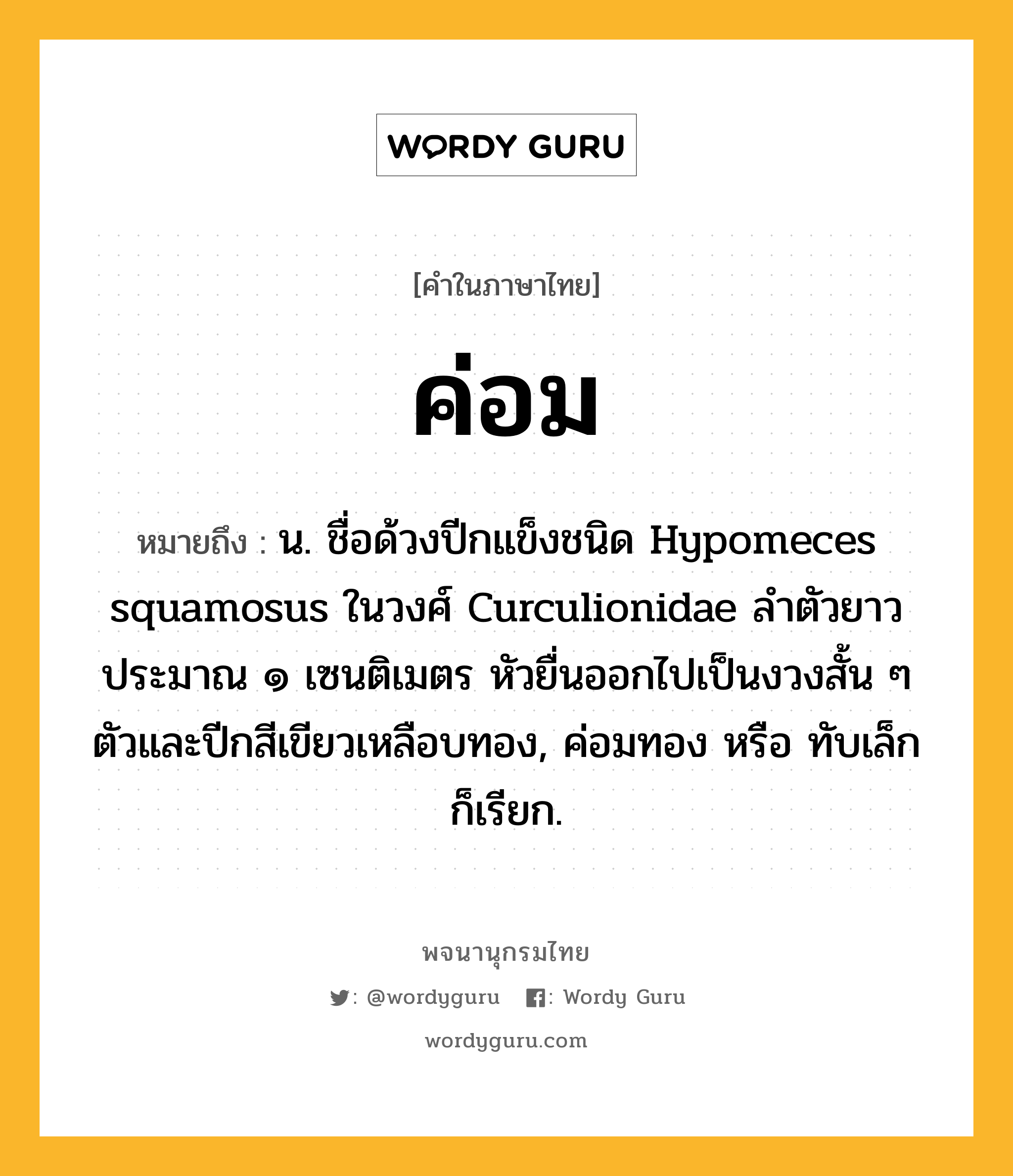 ค่อม ความหมาย หมายถึงอะไร?, คำในภาษาไทย ค่อม หมายถึง น. ชื่อด้วงปีกแข็งชนิด Hypomeces squamosus ในวงศ์ Curculionidae ลําตัวยาวประมาณ ๑ เซนติเมตร หัวยื่นออกไปเป็นงวงสั้น ๆ ตัวและปีกสีเขียวเหลือบทอง, ค่อมทอง หรือ ทับเล็ก ก็เรียก.