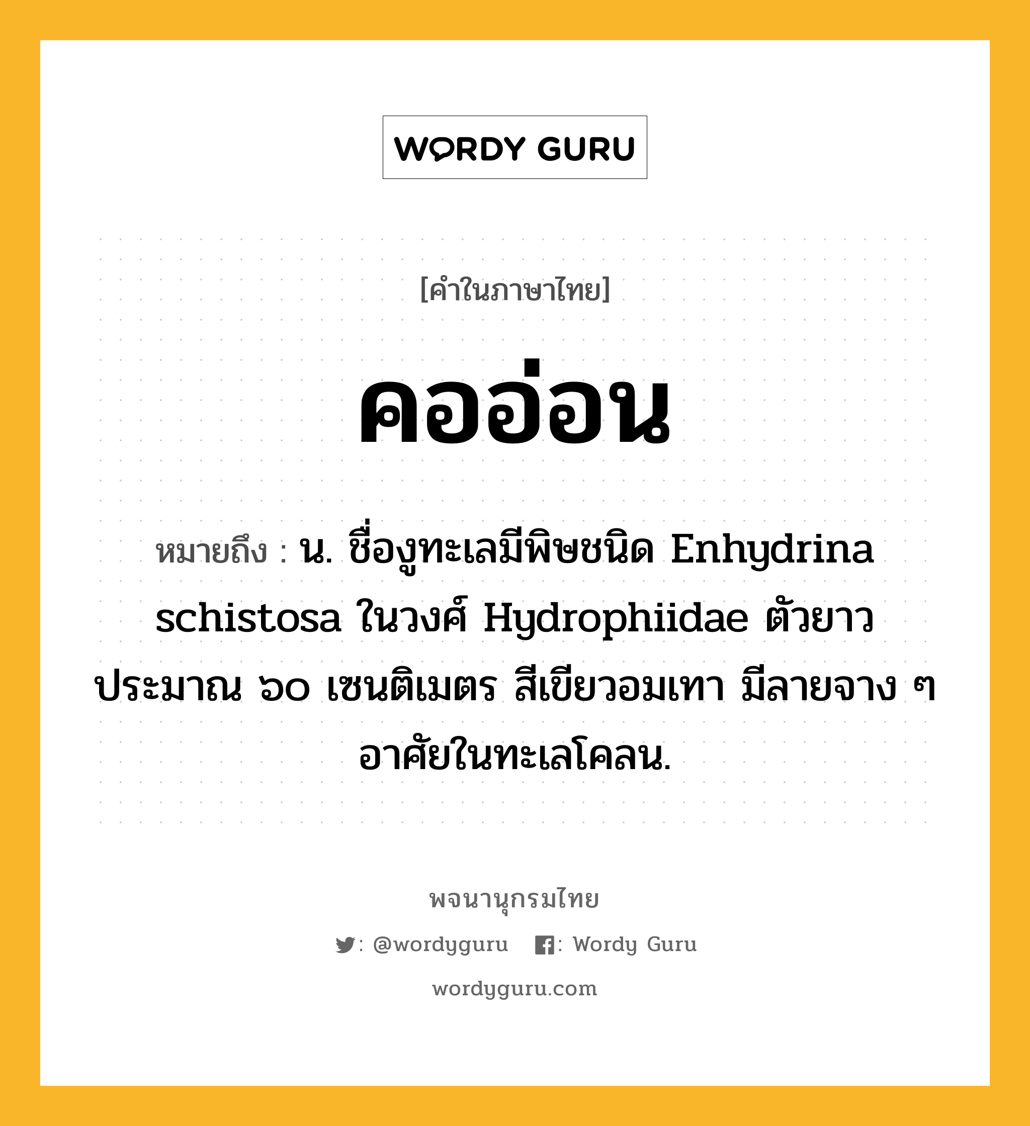 คออ่อน ความหมาย หมายถึงอะไร?, คำในภาษาไทย คออ่อน หมายถึง น. ชื่องูทะเลมีพิษชนิด Enhydrina schistosa ในวงศ์ Hydrophiidae ตัวยาวประมาณ ๖๐ เซนติเมตร สีเขียวอมเทา มีลายจาง ๆ อาศัยในทะเลโคลน.