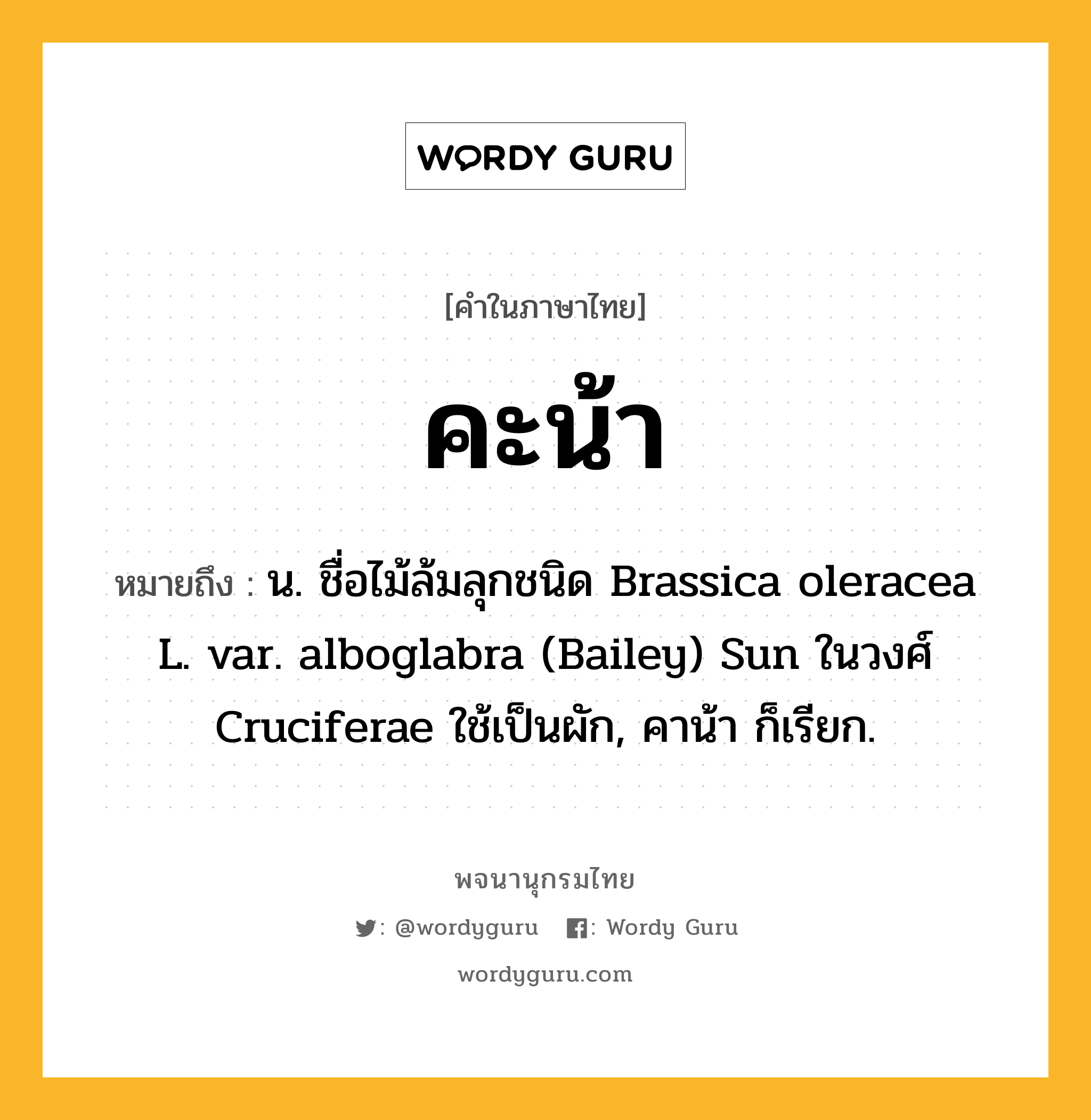 คะน้า ความหมาย หมายถึงอะไร?, คำในภาษาไทย คะน้า หมายถึง น. ชื่อไม้ล้มลุกชนิด Brassica oleracea L. var. alboglabra (Bailey) Sun ในวงศ์ Cruciferae ใช้เป็นผัก, คาน้า ก็เรียก.