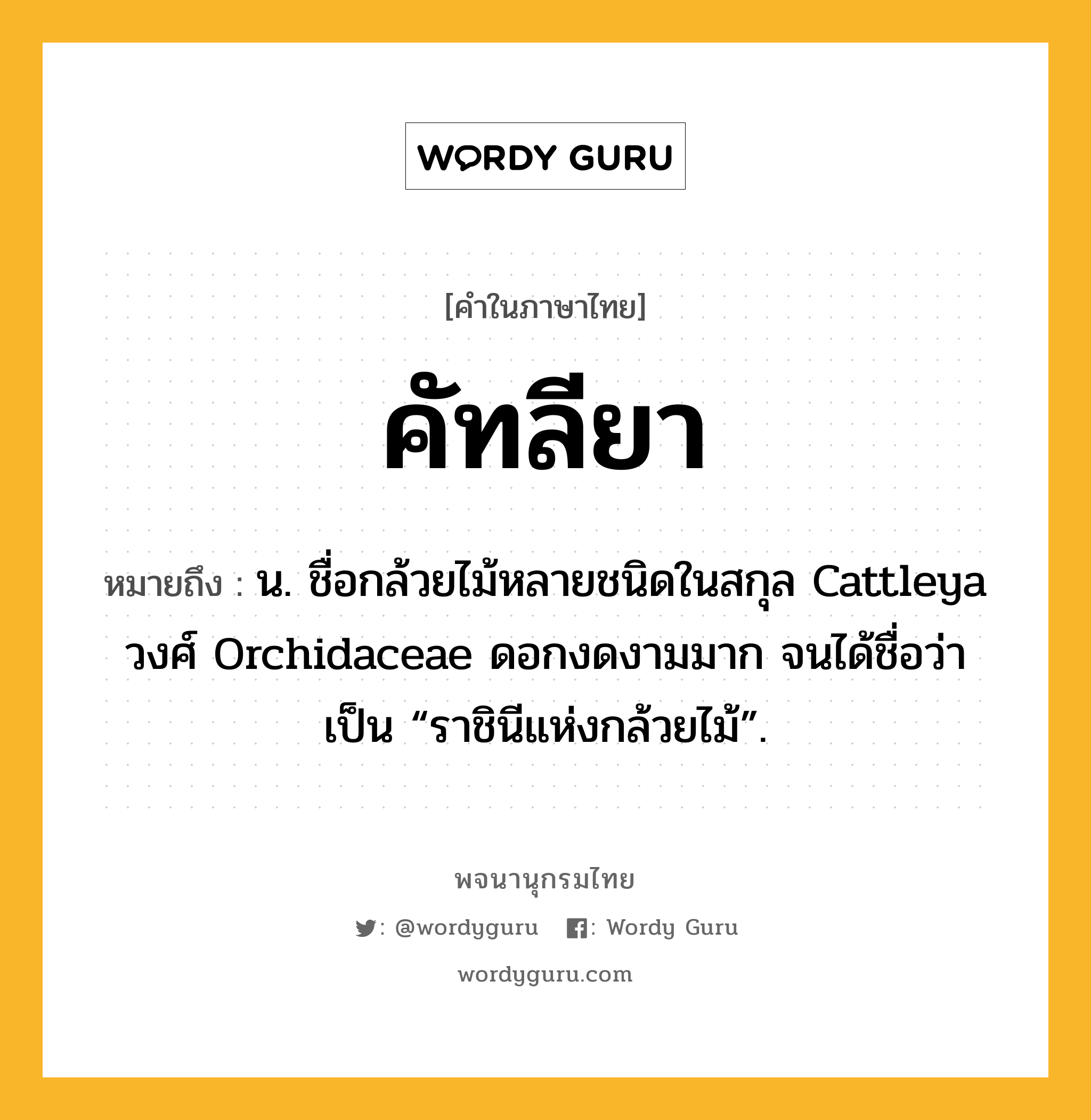 คัทลียา ความหมาย หมายถึงอะไร?, คำในภาษาไทย คัทลียา หมายถึง น. ชื่อกล้วยไม้หลายชนิดในสกุล Cattleya วงศ์ Orchidaceae ดอกงดงามมาก จนได้ชื่อว่าเป็น “ราชินีแห่งกล้วยไม้”.