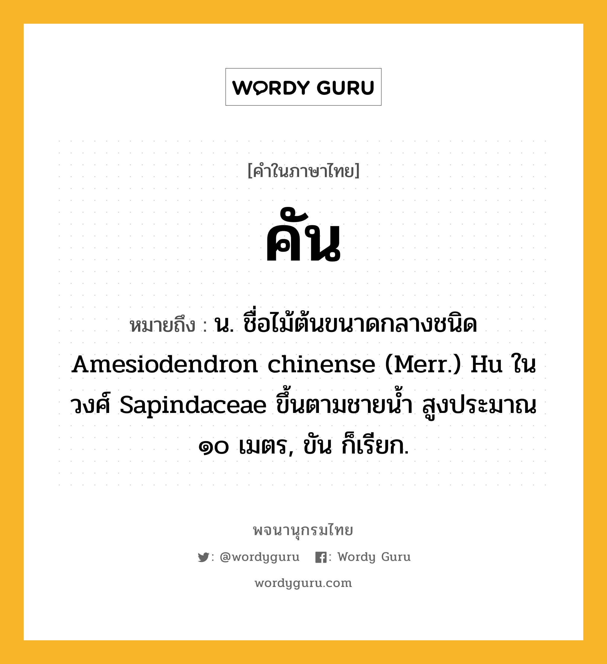 คัน ความหมาย หมายถึงอะไร?, คำในภาษาไทย คัน หมายถึง น. ชื่อไม้ต้นขนาดกลางชนิด Amesiodendron chinense (Merr.) Hu ในวงศ์ Sapindaceae ขึ้นตามชายนํ้า สูงประมาณ ๑๐ เมตร, ขัน ก็เรียก.