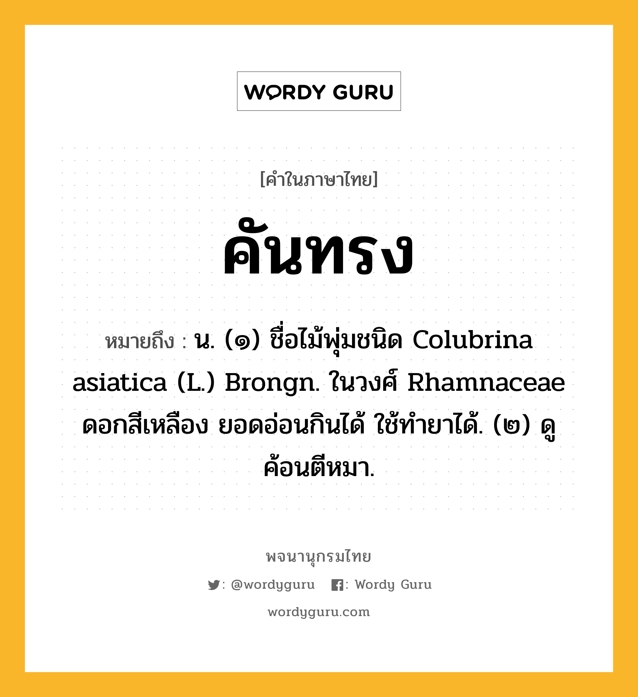 คันทรง ความหมาย หมายถึงอะไร?, คำในภาษาไทย คันทรง หมายถึง น. (๑) ชื่อไม้พุ่มชนิด Colubrina asiatica (L.) Brongn. ในวงศ์ Rhamnaceae ดอกสีเหลือง ยอดอ่อนกินได้ ใช้ทํายาได้. (๒) ดู ค้อนตีหมา.