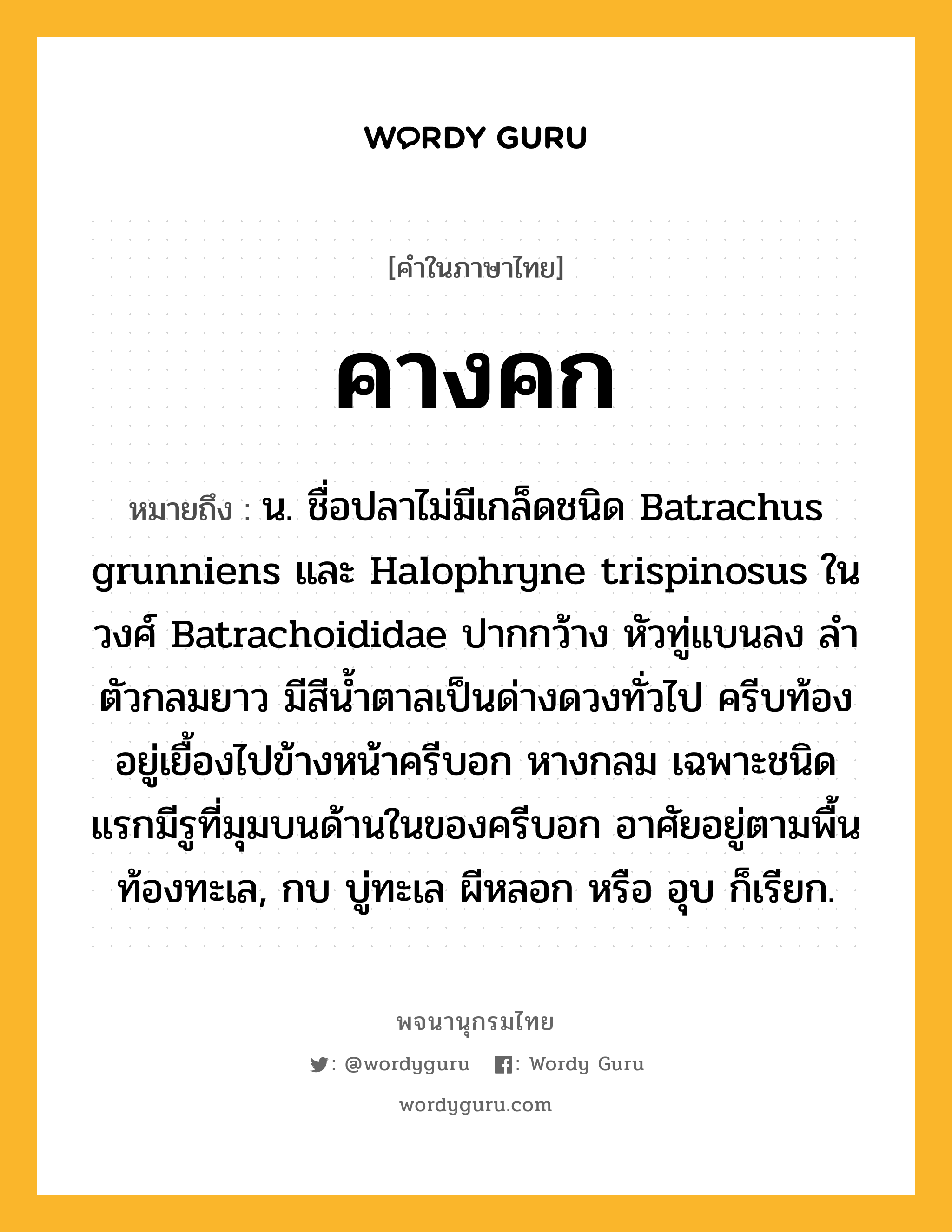 คางคก ความหมาย หมายถึงอะไร?, คำในภาษาไทย คางคก หมายถึง น. ชื่อปลาไม่มีเกล็ดชนิด Batrachus grunniens และ Halophryne trispinosus ในวงศ์ Batrachoididae ปากกว้าง หัวทู่แบนลง ลําตัวกลมยาว มีสีนํ้าตาลเป็นด่างดวงทั่วไป ครีบท้องอยู่เยื้องไปข้างหน้าครีบอก หางกลม เฉพาะชนิดแรกมีรูที่มุมบนด้านในของครีบอก อาศัยอยู่ตามพื้นท้องทะเล, กบ บู่ทะเล ผีหลอก หรือ อุบ ก็เรียก.