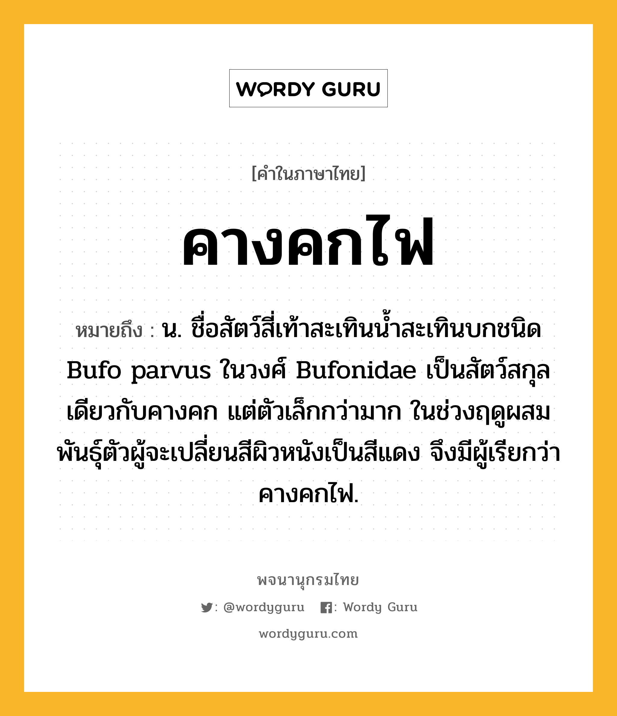 คางคกไฟ ความหมาย หมายถึงอะไร?, คำในภาษาไทย คางคกไฟ หมายถึง น. ชื่อสัตว์สี่เท้าสะเทินนํ้าสะเทินบกชนิด Bufo parvus ในวงศ์ Bufonidae เป็นสัตว์สกุลเดียวกับคางคก แต่ตัวเล็กกว่ามาก ในช่วงฤดูผสมพันธุ์ตัวผู้จะเปลี่ยนสีผิวหนังเป็นสีแดง จึงมีผู้เรียกว่า คางคกไฟ.