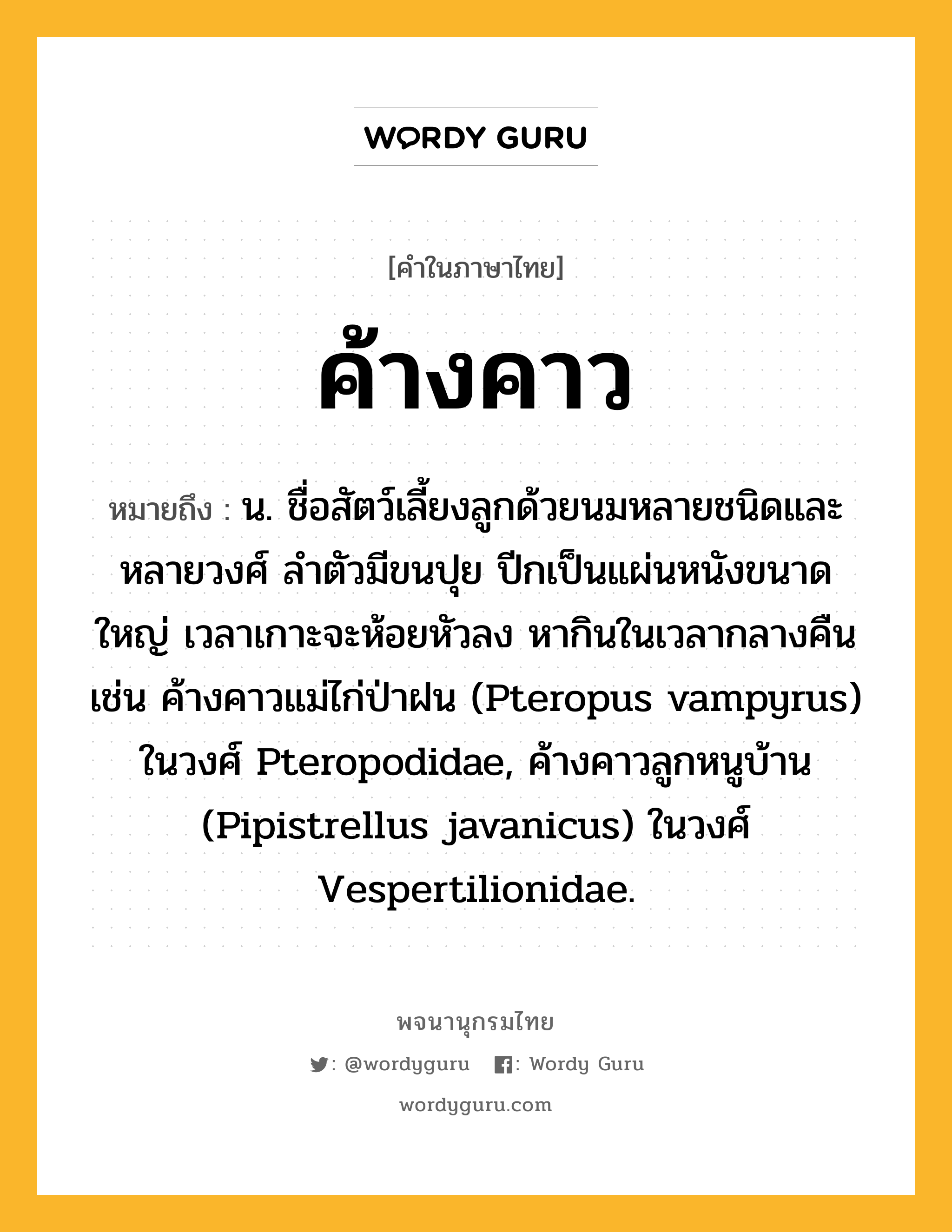 ค้างคาว ความหมาย หมายถึงอะไร?, คำในภาษาไทย ค้างคาว หมายถึง น. ชื่อสัตว์เลี้ยงลูกด้วยนมหลายชนิดและหลายวงศ์ ลําตัวมีขนปุย ปีกเป็นแผ่นหนังขนาดใหญ่ เวลาเกาะจะห้อยหัวลง หากินในเวลากลางคืน เช่น ค้างคาวแม่ไก่ป่าฝน (Pteropus vampyrus) ในวงศ์ Pteropodidae, ค้างคาวลูกหนูบ้าน (Pipistrellus javanicus) ในวงศ์ Vespertilionidae.