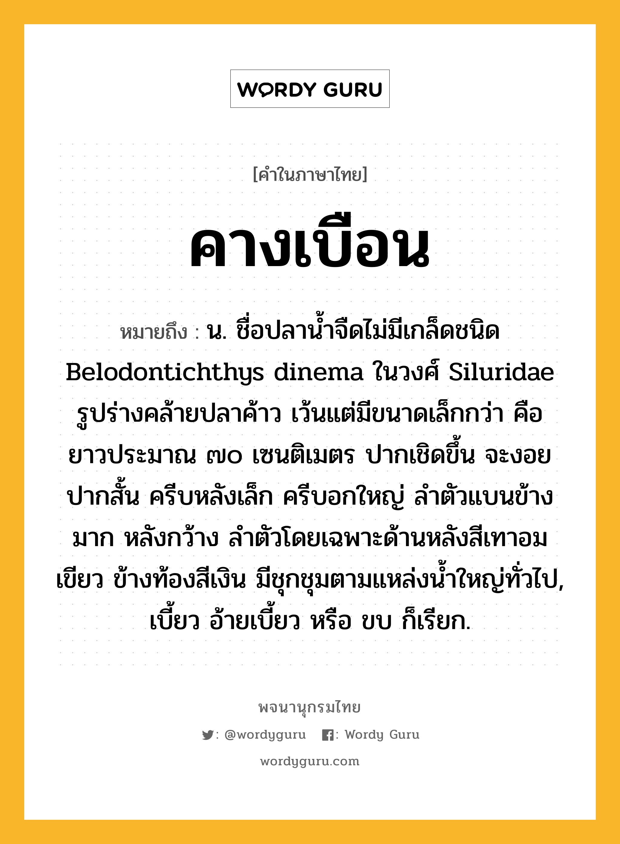 คางเบือน ความหมาย หมายถึงอะไร?, คำในภาษาไทย คางเบือน หมายถึง น. ชื่อปลานํ้าจืดไม่มีเกล็ดชนิด Belodontichthys dinema ในวงศ์ Siluridae รูปร่างคล้ายปลาค้าว เว้นแต่มีขนาดเล็กกว่า คือ ยาวประมาณ ๗๐ เซนติเมตร ปากเชิดขึ้น จะงอยปากสั้น ครีบหลังเล็ก ครีบอกใหญ่ ลําตัวแบนข้างมาก หลังกว้าง ลําตัวโดยเฉพาะด้านหลังสีเทาอมเขียว ข้างท้องสีเงิน มีชุกชุมตามแหล่งนํ้าใหญ่ทั่วไป, เบี้ยว อ้ายเบี้ยว หรือ ขบ ก็เรียก.