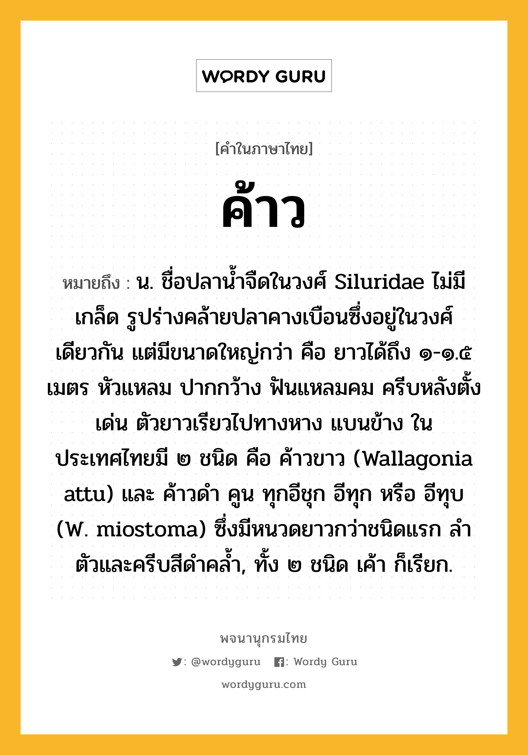 ค้าว ความหมาย หมายถึงอะไร?, คำในภาษาไทย ค้าว หมายถึง น. ชื่อปลานํ้าจืดในวงศ์ Siluridae ไม่มีเกล็ด รูปร่างคล้ายปลาคางเบือนซึ่งอยู่ในวงศ์เดียวกัน แต่มีขนาดใหญ่กว่า คือ ยาวได้ถึง ๑-๑.๕ เมตร หัวแหลม ปากกว้าง ฟันแหลมคม ครีบหลังตั้งเด่น ตัวยาวเรียวไปทางหาง แบนข้าง ในประเทศไทยมี ๒ ชนิด คือ ค้าวขาว (Wallagonia attu) และ ค้าวดํา คูน ทุกอีชุก อีทุก หรือ อีทุบ (W. miostoma) ซึ่งมีหนวดยาวกว่าชนิดแรก ลำตัวและครีบสีดำคล้ำ, ทั้ง ๒ ชนิด เค้า ก็เรียก.