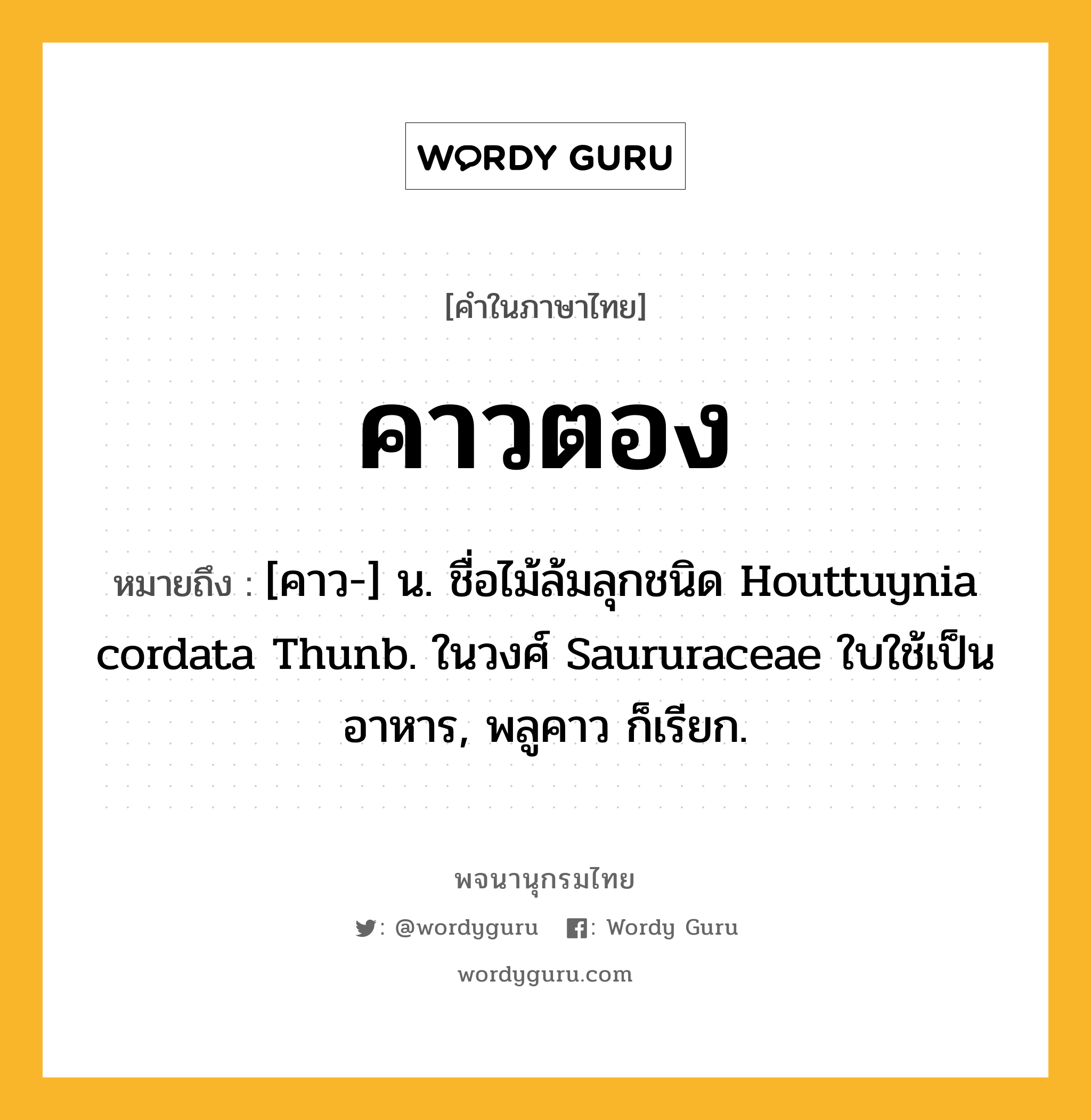 คาวตอง ความหมาย หมายถึงอะไร?, คำในภาษาไทย คาวตอง หมายถึง [คาว-] น. ชื่อไม้ล้มลุกชนิด Houttuynia cordata Thunb. ในวงศ์ Saururaceae ใบใช้เป็นอาหาร, พลูคาว ก็เรียก.