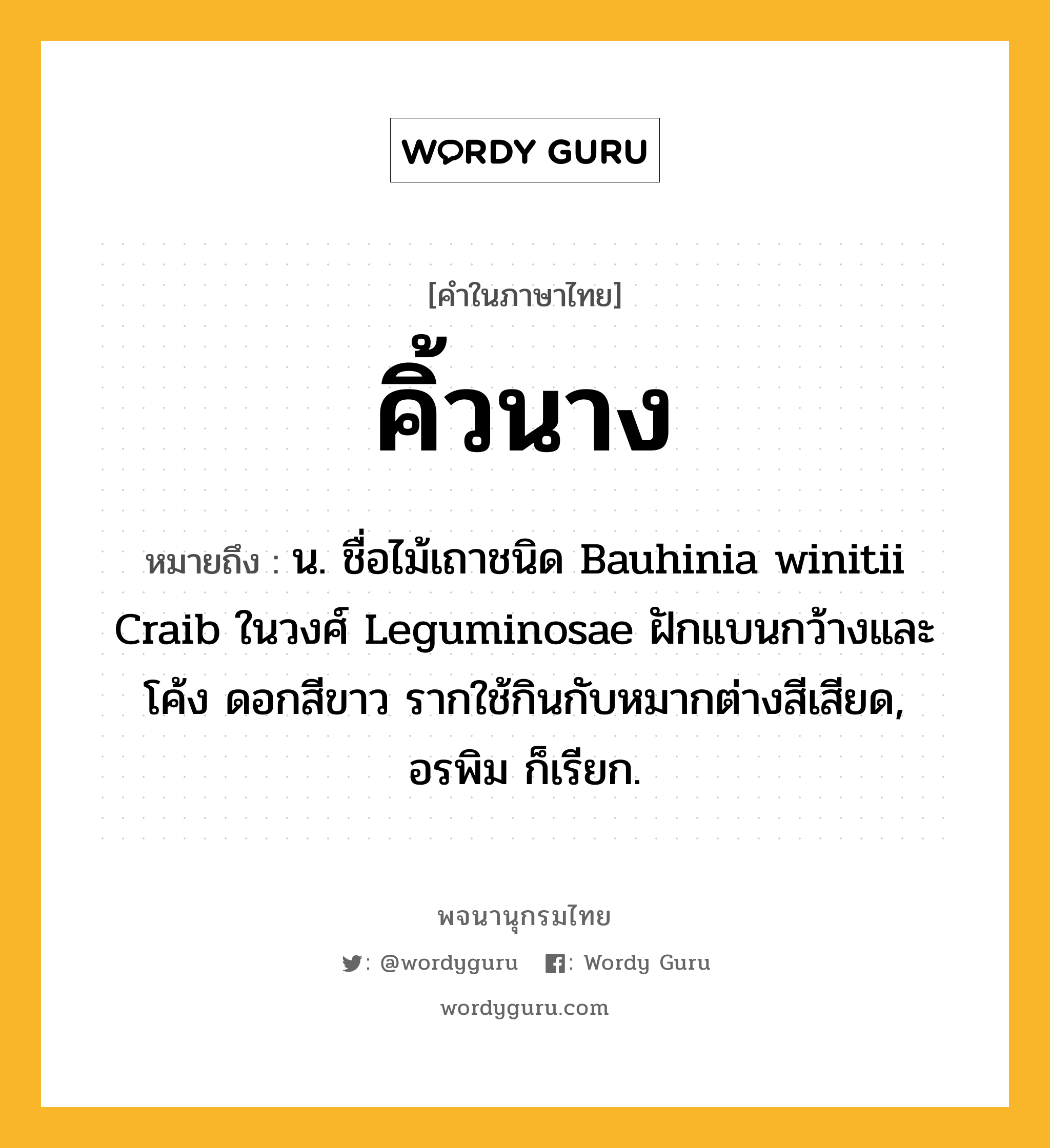 คิ้วนาง ความหมาย หมายถึงอะไร?, คำในภาษาไทย คิ้วนาง หมายถึง น. ชื่อไม้เถาชนิด Bauhinia winitii Craib ในวงศ์ Leguminosae ฝักแบนกว้างและโค้ง ดอกสีขาว รากใช้กินกับหมากต่างสีเสียด, อรพิม ก็เรียก.