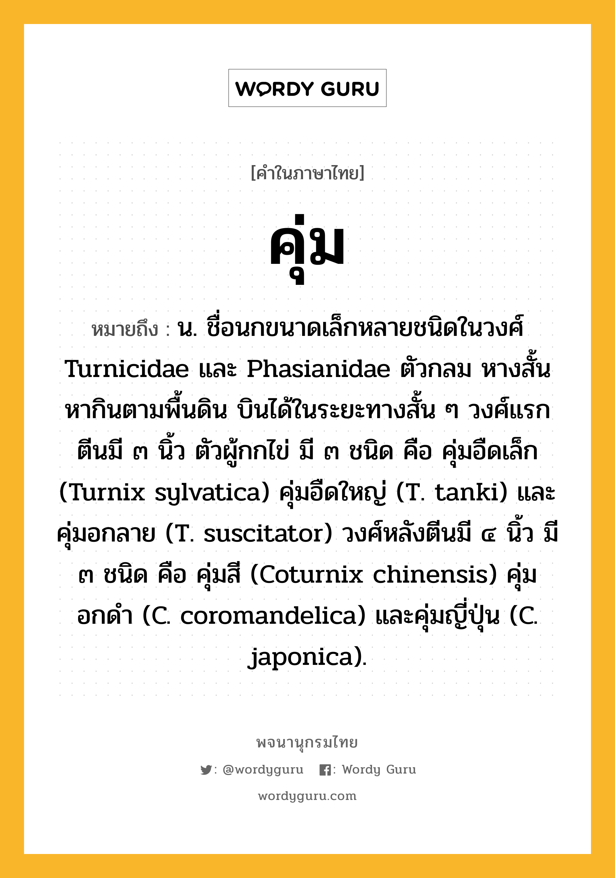 คุ่ม ความหมาย หมายถึงอะไร?, คำในภาษาไทย คุ่ม หมายถึง น. ชื่อนกขนาดเล็กหลายชนิดในวงศ์ Turnicidae และ Phasianidae ตัวกลม หางสั้น หากินตามพื้นดิน บินได้ในระยะทางสั้น ๆ วงศ์แรกตีนมี ๓ นิ้ว ตัวผู้กกไข่ มี ๓ ชนิด คือ คุ่มอืดเล็ก (Turnix sylvatica) คุ่มอืดใหญ่ (T. tanki) และคุ่มอกลาย (T. suscitator) วงศ์หลังตีนมี ๔ นิ้ว มี ๓ ชนิด คือ คุ่มสี (Coturnix chinensis) คุ่มอกดํา (C. coromandelica) และคุ่มญี่ปุ่น (C. japonica).