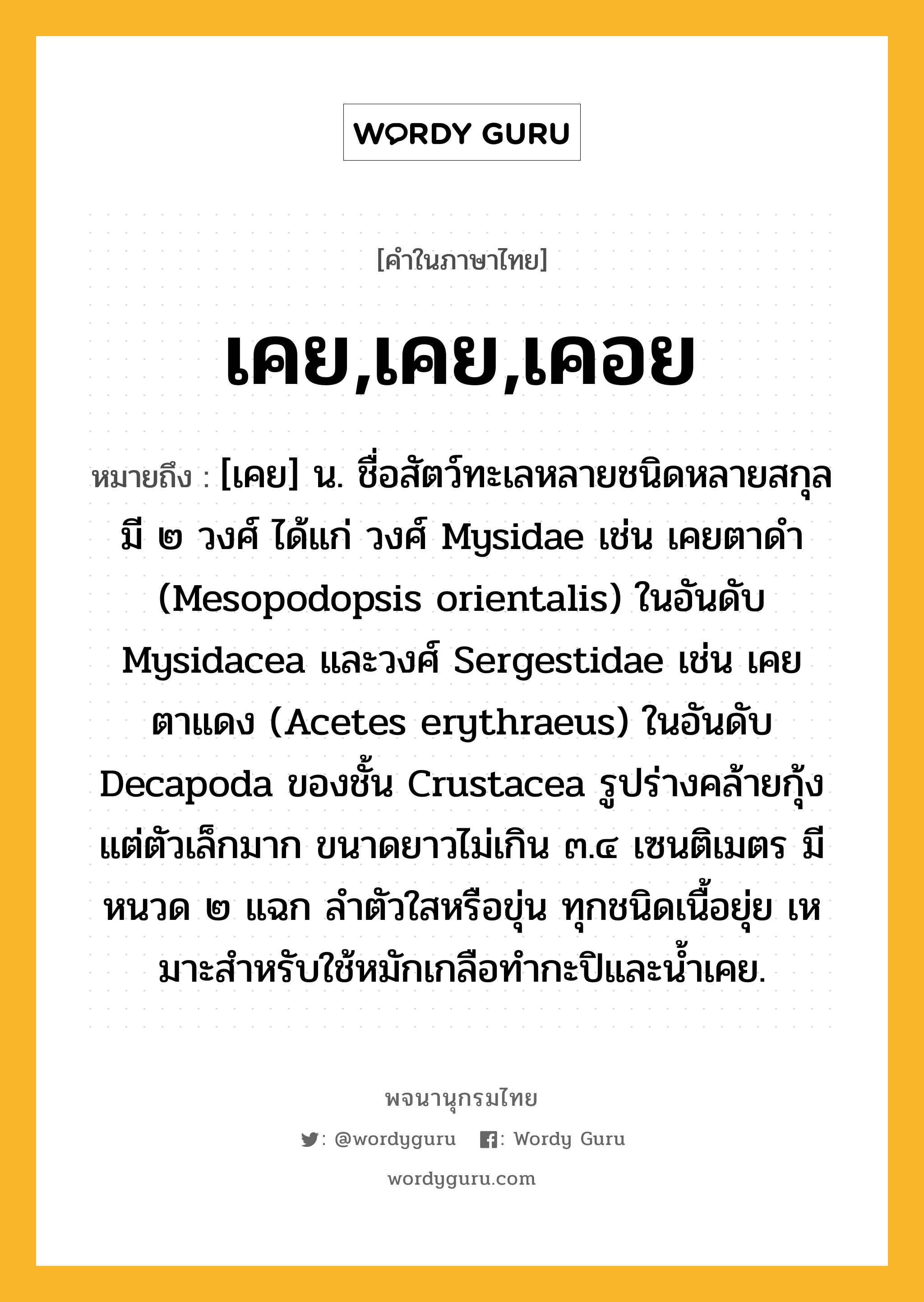 เคย,เคย,เคอย ความหมาย หมายถึงอะไร?, คำในภาษาไทย เคย,เคย,เคอย หมายถึง [เคย] น. ชื่อสัตว์ทะเลหลายชนิดหลายสกุล มี ๒ วงศ์ ได้แก่ วงศ์ Mysidae เช่น เคยตาดํา (Mesopodopsis orientalis) ในอันดับ Mysidacea และวงศ์ Sergestidae เช่น เคยตาแดง (Acetes erythraeus) ในอันดับ Decapoda ของชั้น Crustacea รูปร่างคล้ายกุ้งแต่ตัวเล็กมาก ขนาดยาวไม่เกิน ๓.๔ เซนติเมตร มีหนวด ๒ แฉก ลําตัวใสหรือขุ่น ทุกชนิดเนื้อยุ่ย เหมาะสําหรับใช้หมักเกลือทํากะปิและนํ้าเคย.