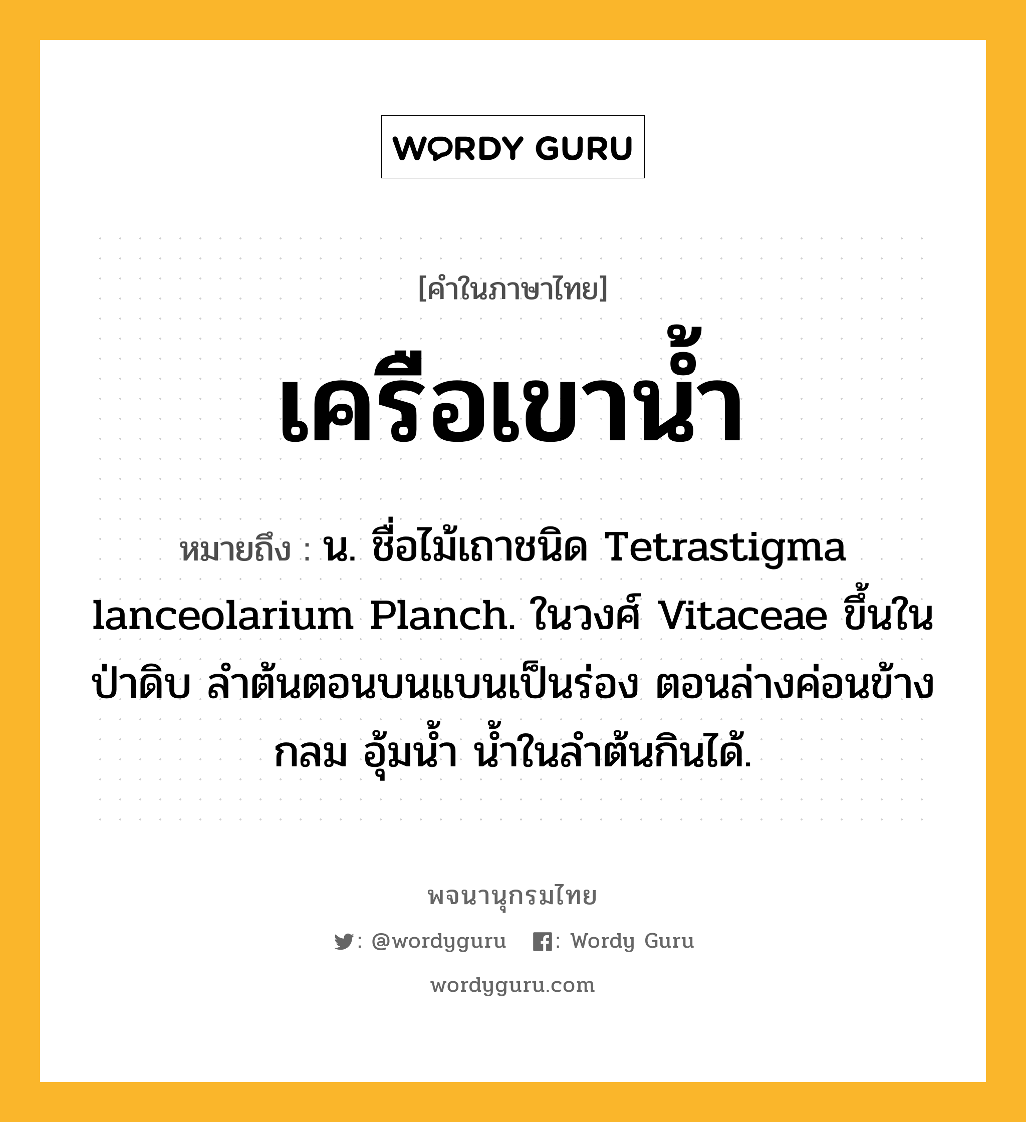 เครือเขาน้ำ ความหมาย หมายถึงอะไร?, คำในภาษาไทย เครือเขาน้ำ หมายถึง น. ชื่อไม้เถาชนิด Tetrastigma lanceolarium Planch. ในวงศ์ Vitaceae ขึ้นในป่าดิบ ลําต้นตอนบนแบนเป็นร่อง ตอนล่างค่อนข้างกลม อุ้มนํ้า นํ้าในลําต้นกินได้.