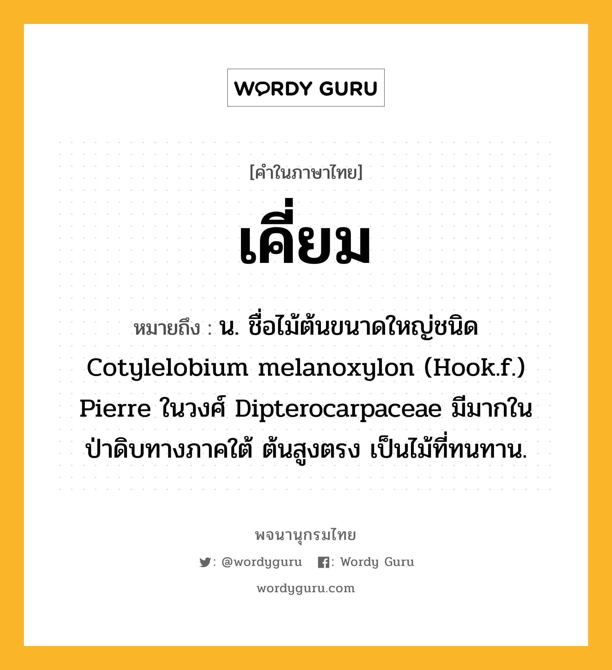 เคี่ยม ความหมาย หมายถึงอะไร?, คำในภาษาไทย เคี่ยม หมายถึง น. ชื่อไม้ต้นขนาดใหญ่ชนิด Cotylelobium melanoxylon (Hook.f.) Pierre ในวงศ์ Dipterocarpaceae มีมากในป่าดิบทางภาคใต้ ต้นสูงตรง เป็นไม้ที่ทนทาน.