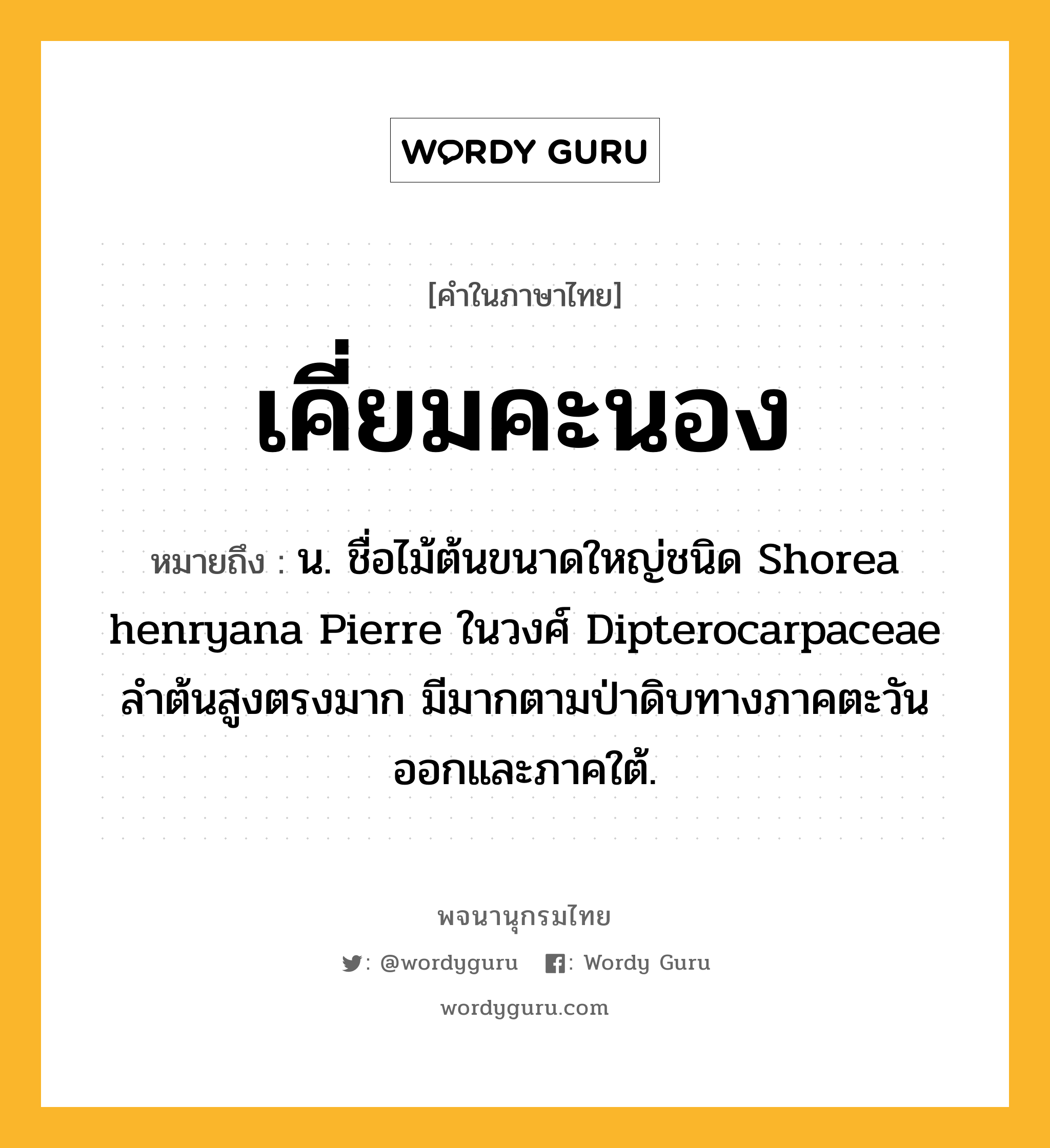 เคี่ยมคะนอง ความหมาย หมายถึงอะไร?, คำในภาษาไทย เคี่ยมคะนอง หมายถึง น. ชื่อไม้ต้นขนาดใหญ่ชนิด Shorea henryana Pierre ในวงศ์ Dipterocarpaceae ลําต้นสูงตรงมาก มีมากตามป่าดิบทางภาคตะวันออกและภาคใต้.