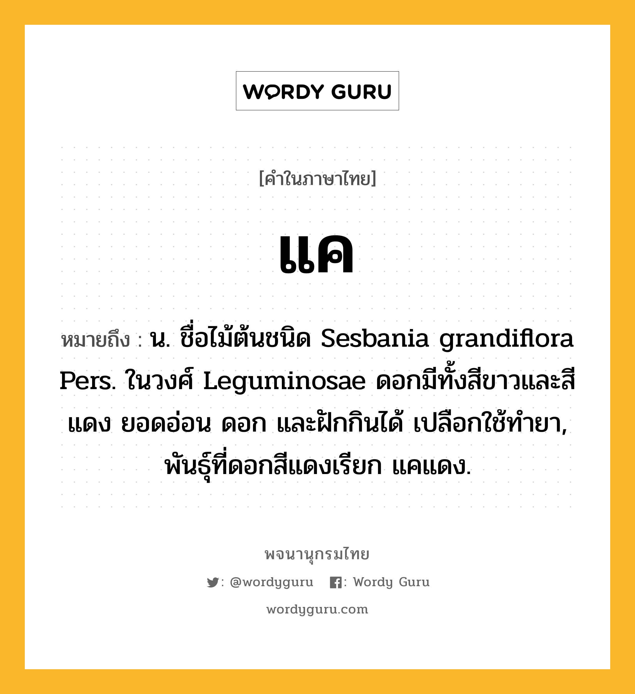 แค ความหมาย หมายถึงอะไร?, คำในภาษาไทย แค หมายถึง น. ชื่อไม้ต้นชนิด Sesbania grandiflora Pers. ในวงศ์ Leguminosae ดอกมีทั้งสีขาวและสีแดง ยอดอ่อน ดอก และฝักกินได้ เปลือกใช้ทํายา, พันธุ์ที่ดอกสีแดงเรียก แคแดง.