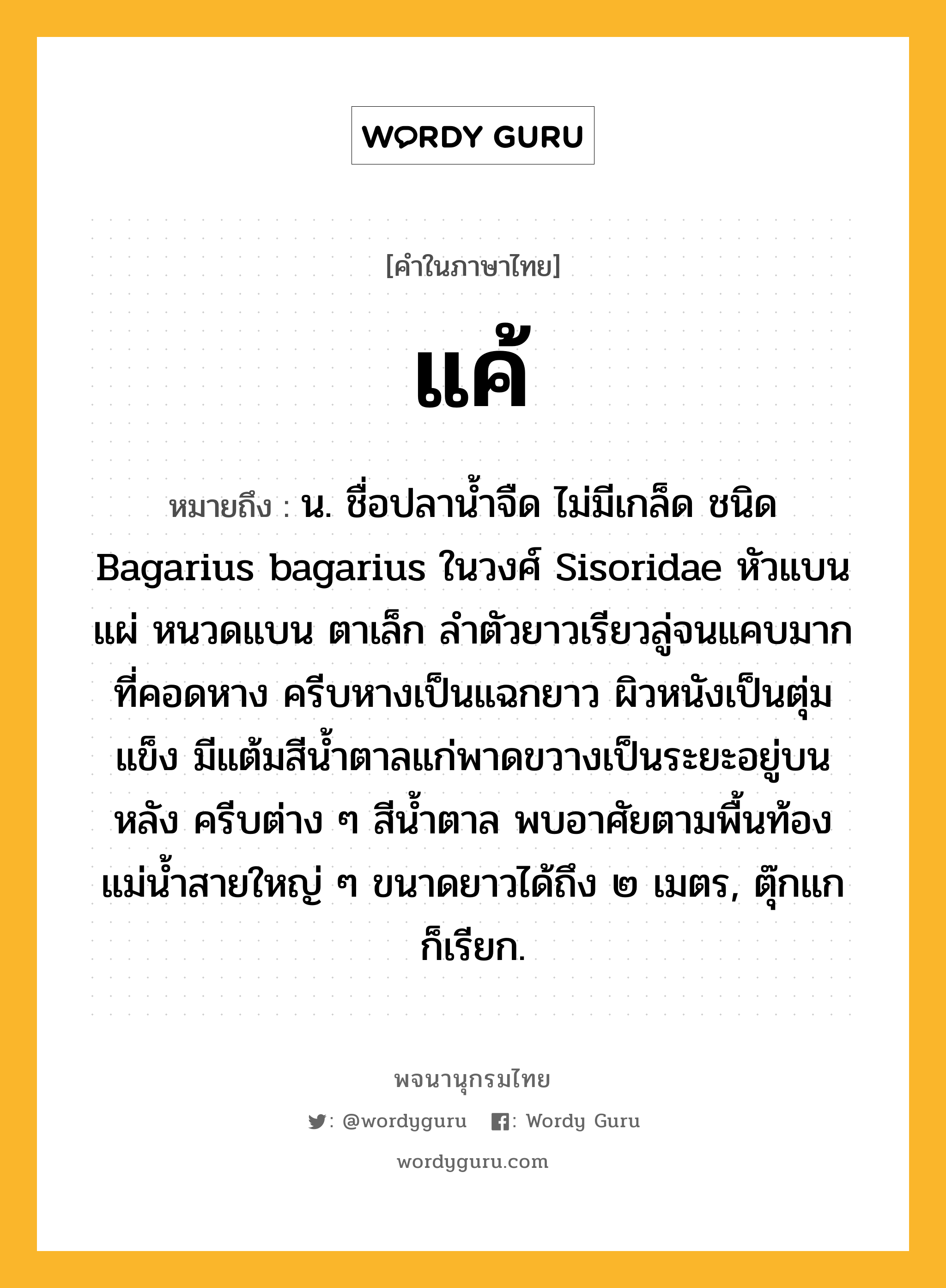 แค้ ความหมาย หมายถึงอะไร?, คำในภาษาไทย แค้ หมายถึง น. ชื่อปลานํ้าจืด ไม่มีเกล็ด ชนิด Bagarius bagarius ในวงศ์ Sisoridae หัวแบนแผ่ หนวดแบน ตาเล็ก ลําตัวยาวเรียวลู่จนแคบมากที่คอดหาง ครีบหางเป็นแฉกยาว ผิวหนังเป็นตุ่มแข็ง มีแต้มสีนํ้าตาลแก่พาดขวางเป็นระยะอยู่บนหลัง ครีบต่าง ๆ สีนํ้าตาล พบอาศัยตามพื้นท้องแม่นํ้าสายใหญ่ ๆ ขนาดยาวได้ถึง ๒ เมตร, ตุ๊กแก ก็เรียก.