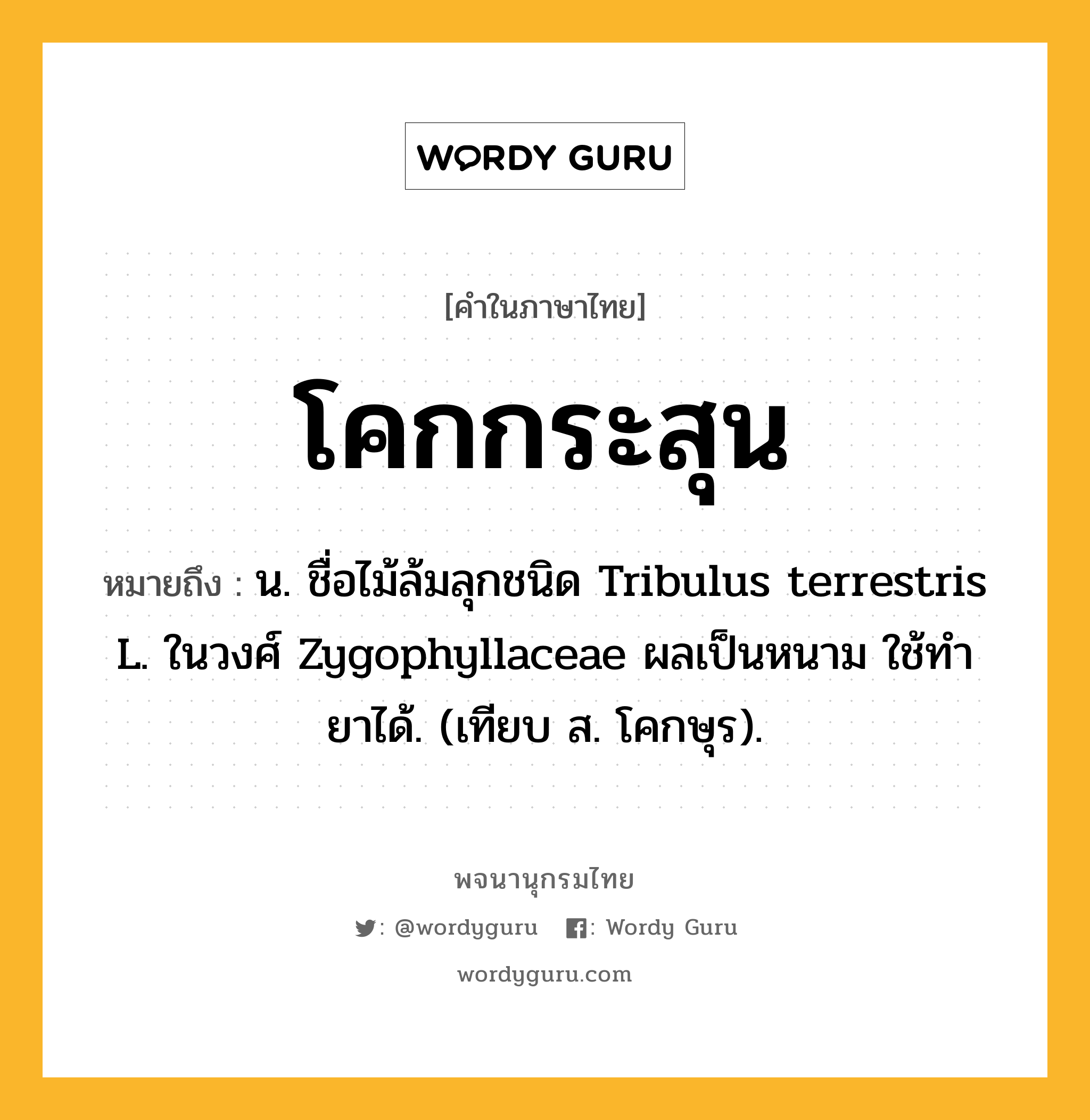 โคกกระสุน ความหมาย หมายถึงอะไร?, คำในภาษาไทย โคกกระสุน หมายถึง น. ชื่อไม้ล้มลุกชนิด Tribulus terrestris L. ในวงศ์ Zygophyllaceae ผลเป็นหนาม ใช้ทํายาได้. (เทียบ ส. โคกษุร).