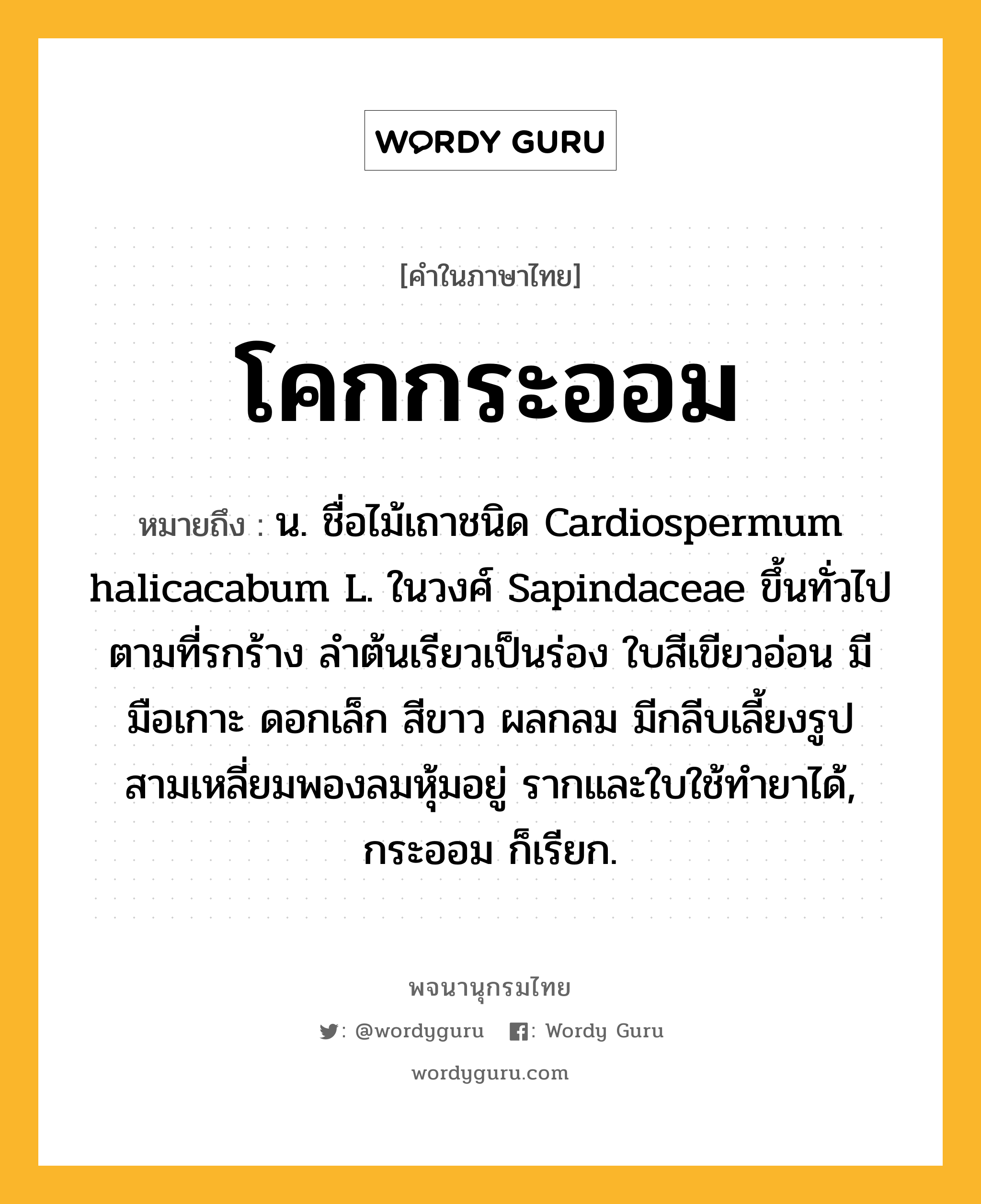 โคกกระออม ความหมาย หมายถึงอะไร?, คำในภาษาไทย โคกกระออม หมายถึง น. ชื่อไม้เถาชนิด Cardiospermum halicacabum L. ในวงศ์ Sapindaceae ขึ้นทั่วไปตามที่รกร้าง ลําต้นเรียวเป็นร่อง ใบสีเขียวอ่อน มีมือเกาะ ดอกเล็ก สีขาว ผลกลม มีกลีบเลี้ยงรูปสามเหลี่ยมพองลมหุ้มอยู่ รากและใบใช้ทํายาได้, กระออม ก็เรียก.