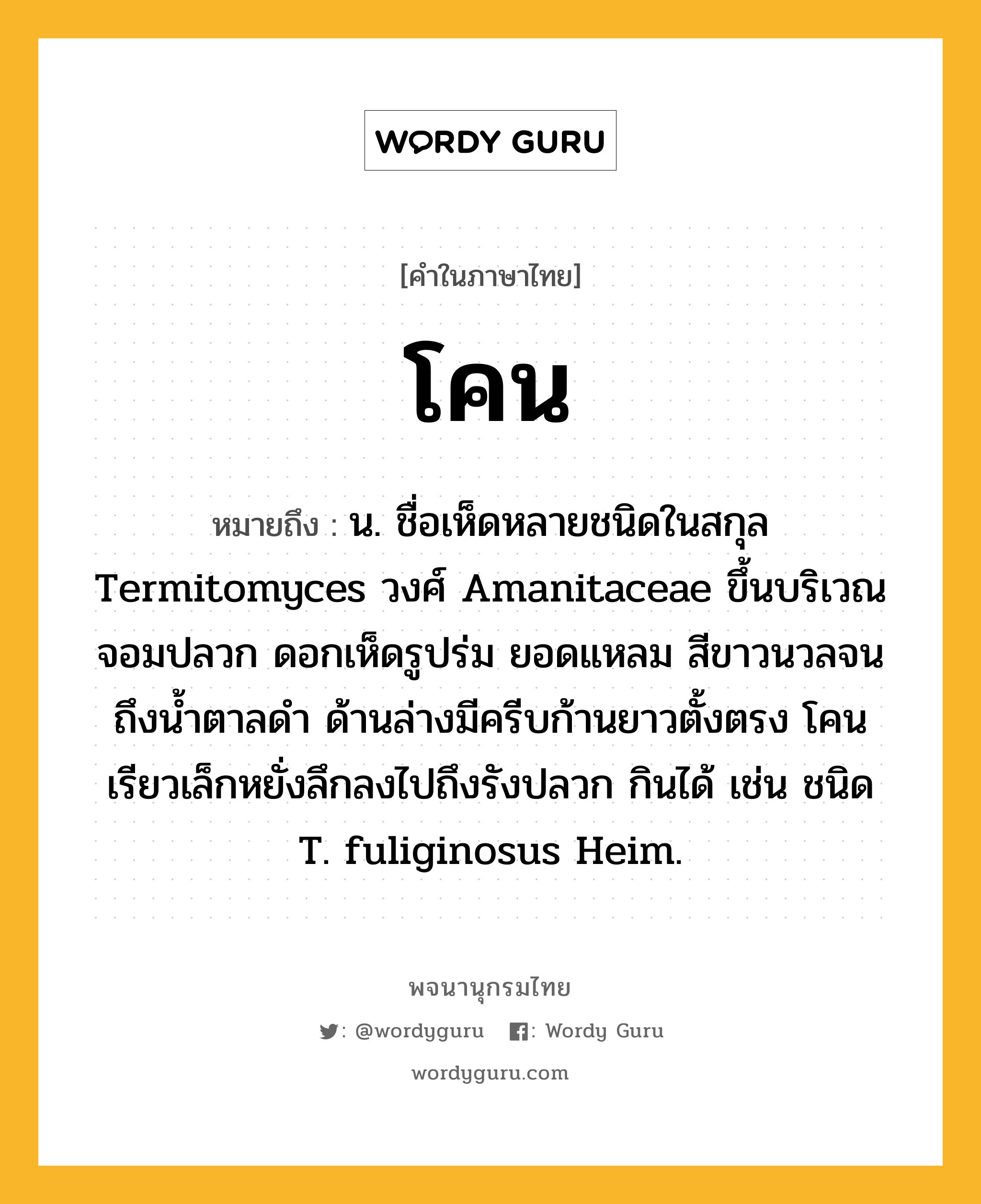 โคน ความหมาย หมายถึงอะไร?, คำในภาษาไทย โคน หมายถึง น. ชื่อเห็ดหลายชนิดในสกุล Termitomyces วงศ์ Amanitaceae ขึ้นบริเวณจอมปลวก ดอกเห็ดรูปร่ม ยอดแหลม สีขาวนวลจนถึงนํ้าตาลดํา ด้านล่างมีครีบก้านยาวตั้งตรง โคนเรียวเล็กหยั่งลึกลงไปถึงรังปลวก กินได้ เช่น ชนิด T. fuliginosus Heim.