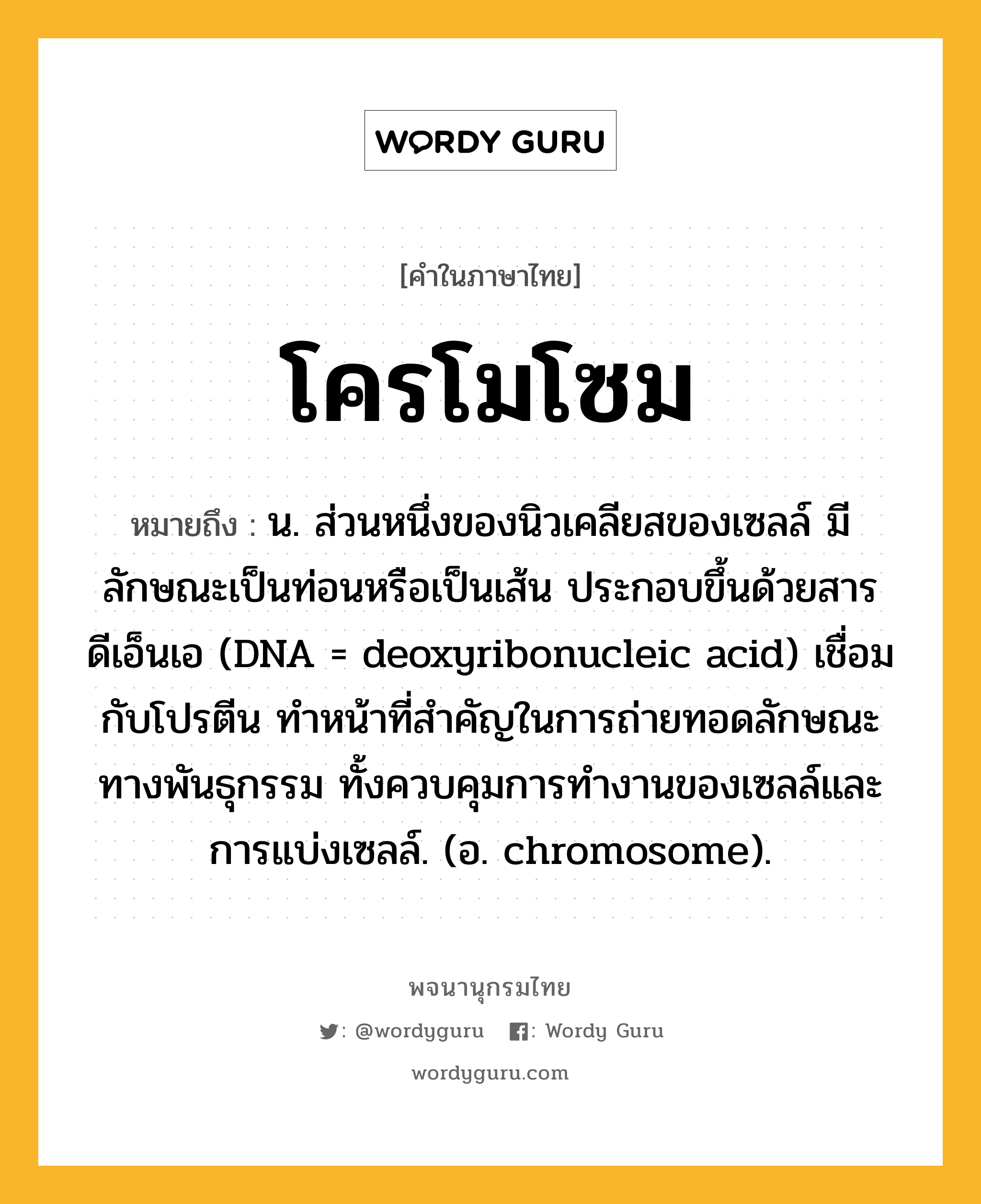 โครโมโซม ความหมาย หมายถึงอะไร?, คำในภาษาไทย โครโมโซม หมายถึง น. ส่วนหนึ่งของนิวเคลียสของเซลล์ มีลักษณะเป็นท่อนหรือเป็นเส้น ประกอบขึ้นด้วยสารดีเอ็นเอ (DNA = deoxyribonucleic acid) เชื่อมกับโปรตีน ทําหน้าที่สําคัญในการถ่ายทอดลักษณะทางพันธุกรรม ทั้งควบคุมการทํางานของเซลล์และการแบ่งเซลล์. (อ. chromosome).