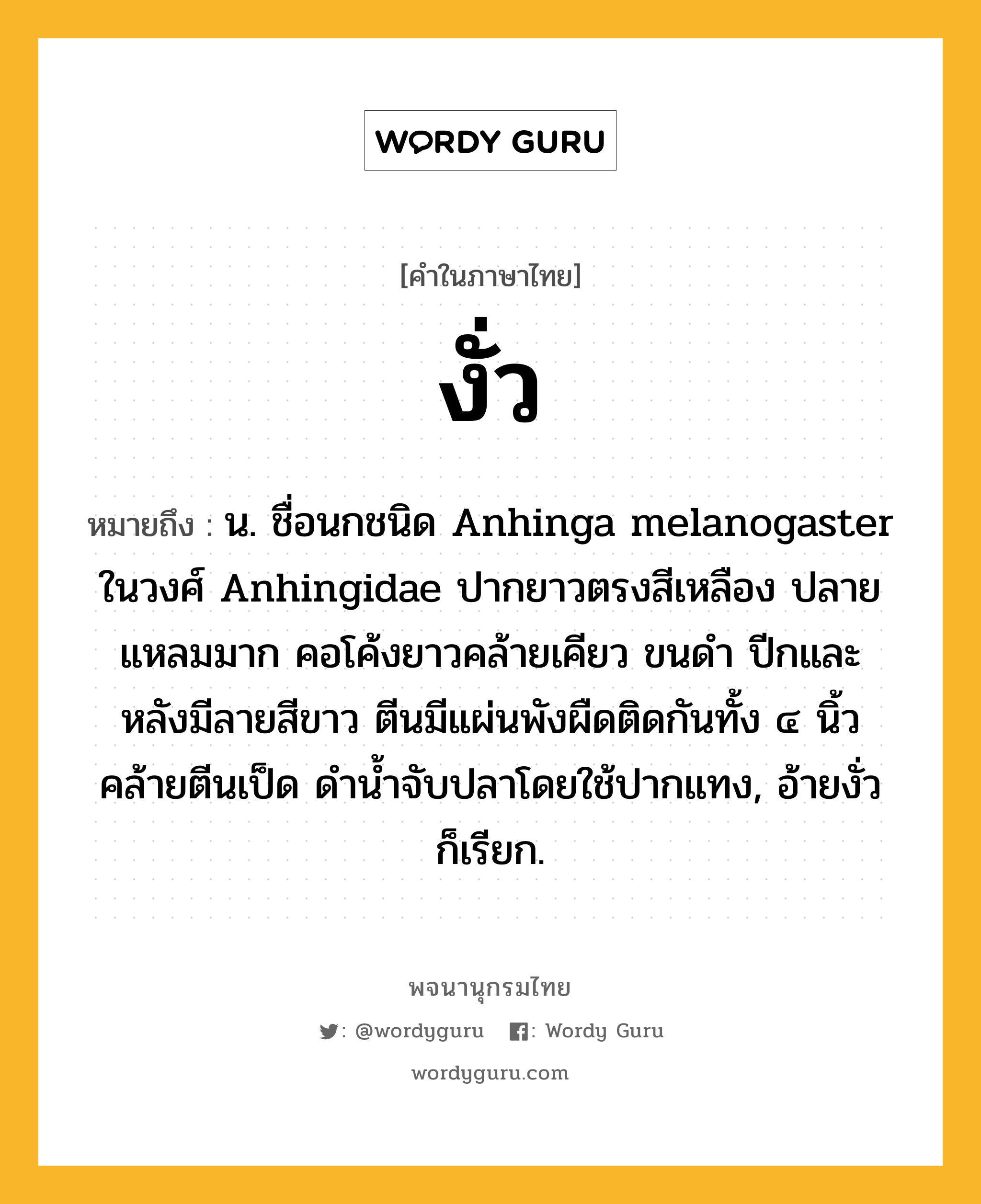 งั่ว ความหมาย หมายถึงอะไร?, คำในภาษาไทย งั่ว หมายถึง น. ชื่อนกชนิด Anhinga melanogaster ในวงศ์ Anhingidae ปากยาวตรงสีเหลือง ปลายแหลมมาก คอโค้งยาวคล้ายเคียว ขนดํา ปีกและหลังมีลายสีขาว ตีนมีแผ่นพังผืดติดกันทั้ง ๔ นิ้วคล้ายตีนเป็ด ดํานํ้าจับปลาโดยใช้ปากแทง, อ้ายงั่ว ก็เรียก.