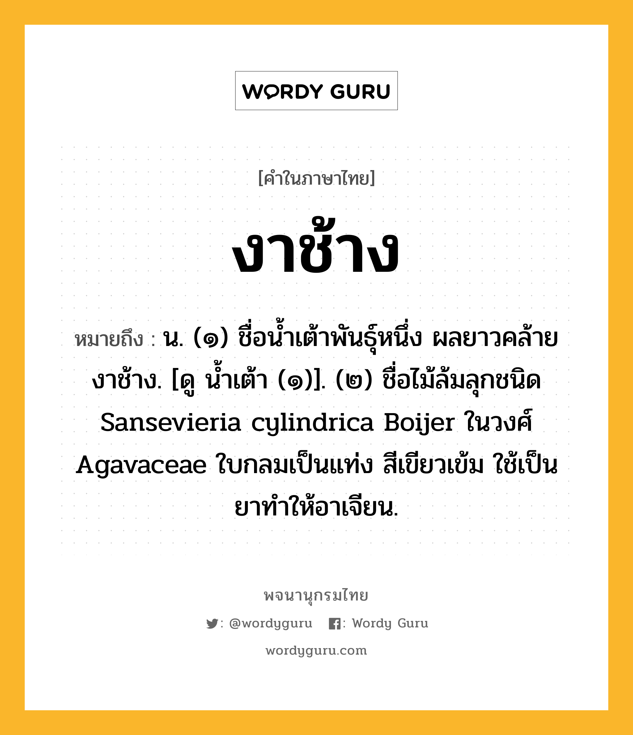 งาช้าง ความหมาย หมายถึงอะไร?, คำในภาษาไทย งาช้าง หมายถึง น. (๑) ชื่อนํ้าเต้าพันธุ์หนึ่ง ผลยาวคล้ายงาช้าง. [ดู นํ้าเต้า (๑)]. (๒) ชื่อไม้ล้มลุกชนิด Sansevieria cylindrica Boijer ในวงศ์ Agavaceae ใบกลมเป็นแท่ง สีเขียวเข้ม ใช้เป็นยาทําให้อาเจียน.