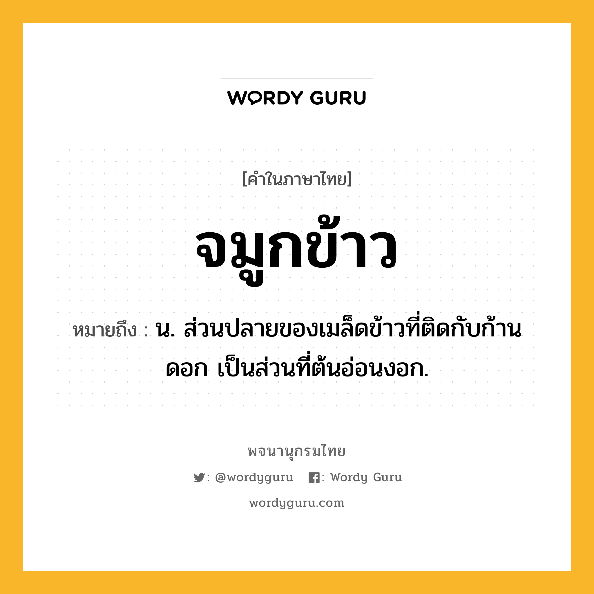 จมูกข้าว ความหมาย หมายถึงอะไร?, คำในภาษาไทย จมูกข้าว หมายถึง น. ส่วนปลายของเมล็ดข้าวที่ติดกับก้านดอก เป็นส่วนที่ต้นอ่อนงอก.